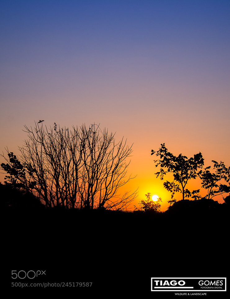 Nikon D7100 sample photo. Nascer do sol photography