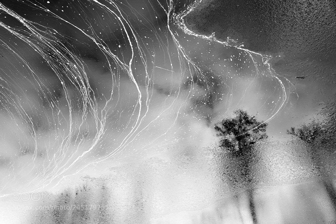 Nikon D810 sample photo. Nature's art photography