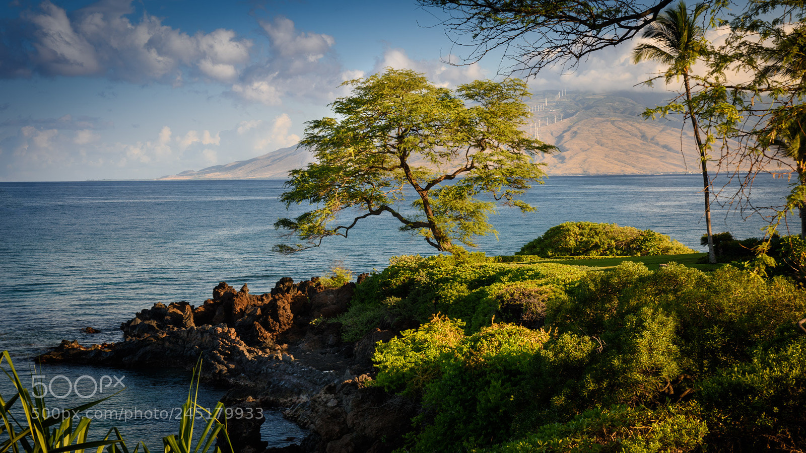 Nikon D810 sample photo. Edit photography