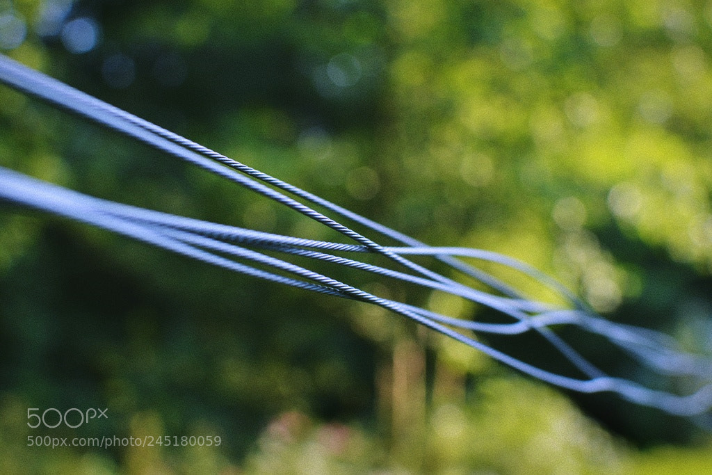 Nikon D3200 + Nikon AF-S DX Nikkor 35mm F1.8G sample photo. *** photography