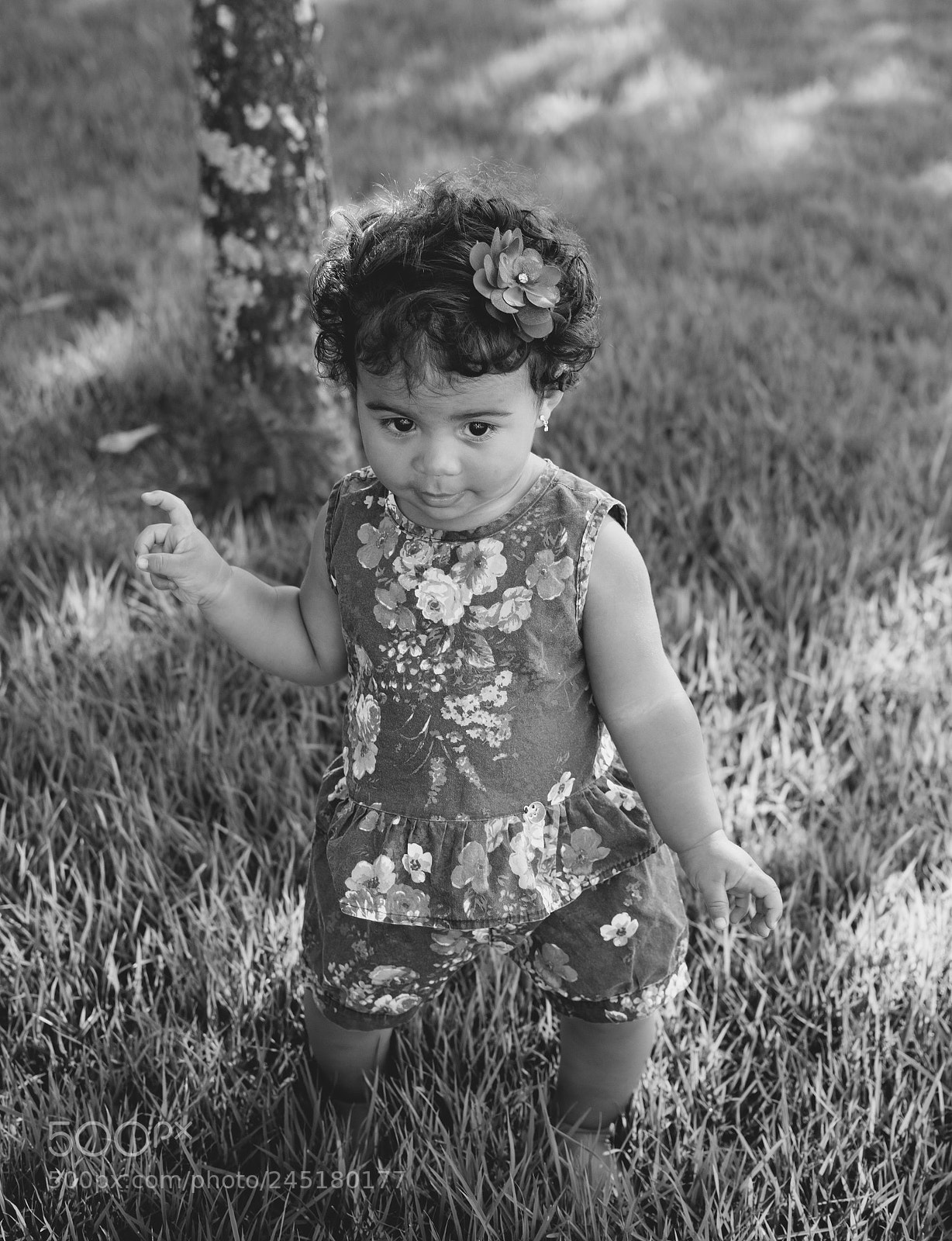 Nikon D7100 sample photo. Nik photography