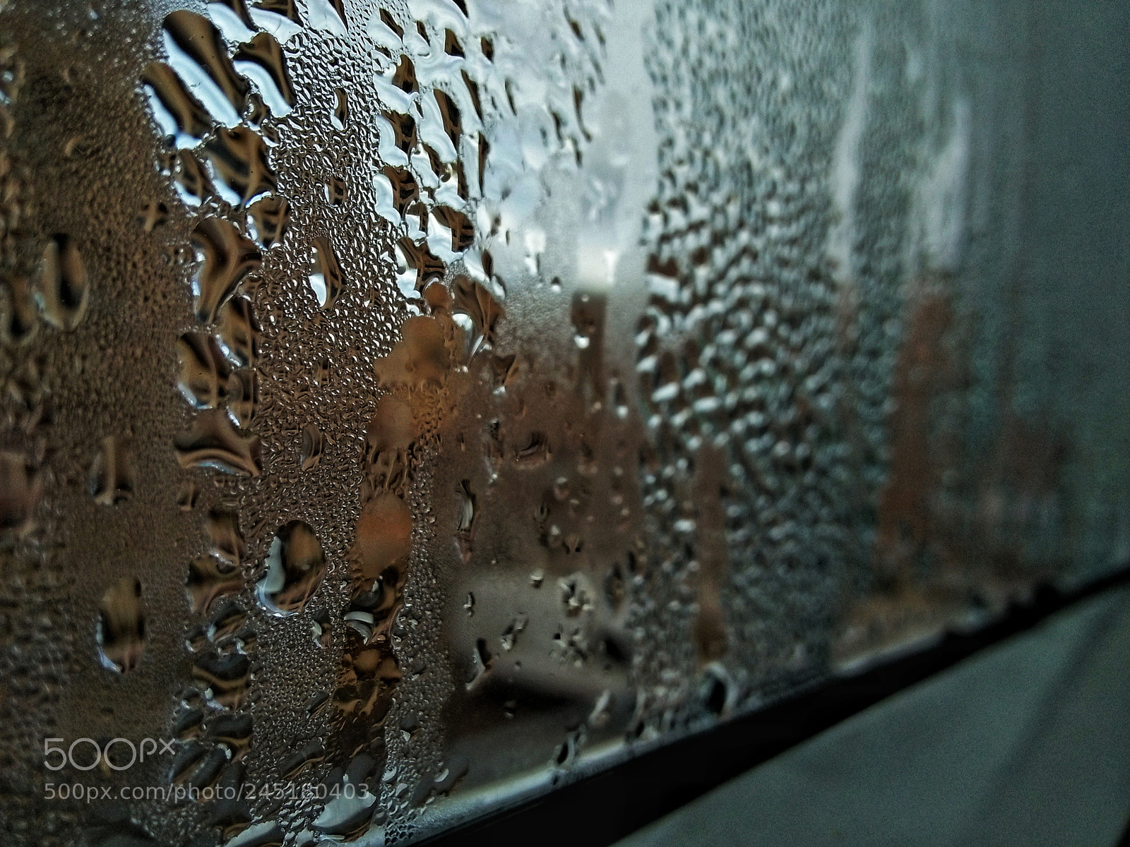 OPPO A37fw-International sample photo. Rainy day photography