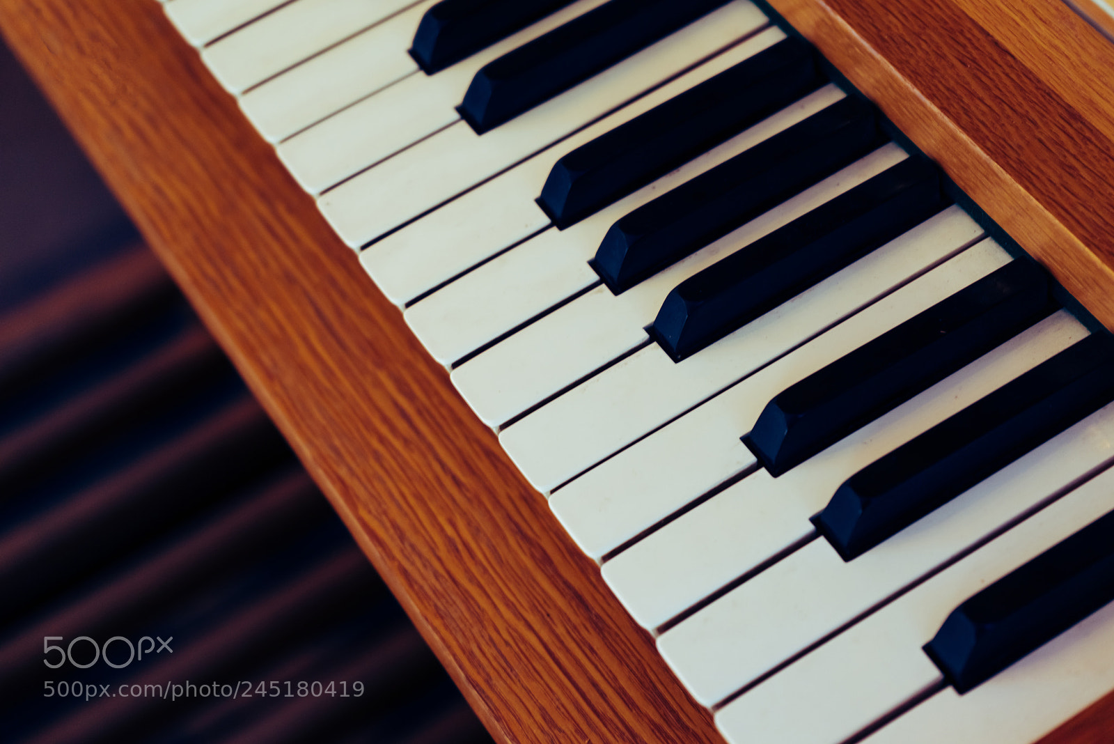 Sony a7R sample photo. Let's play photography