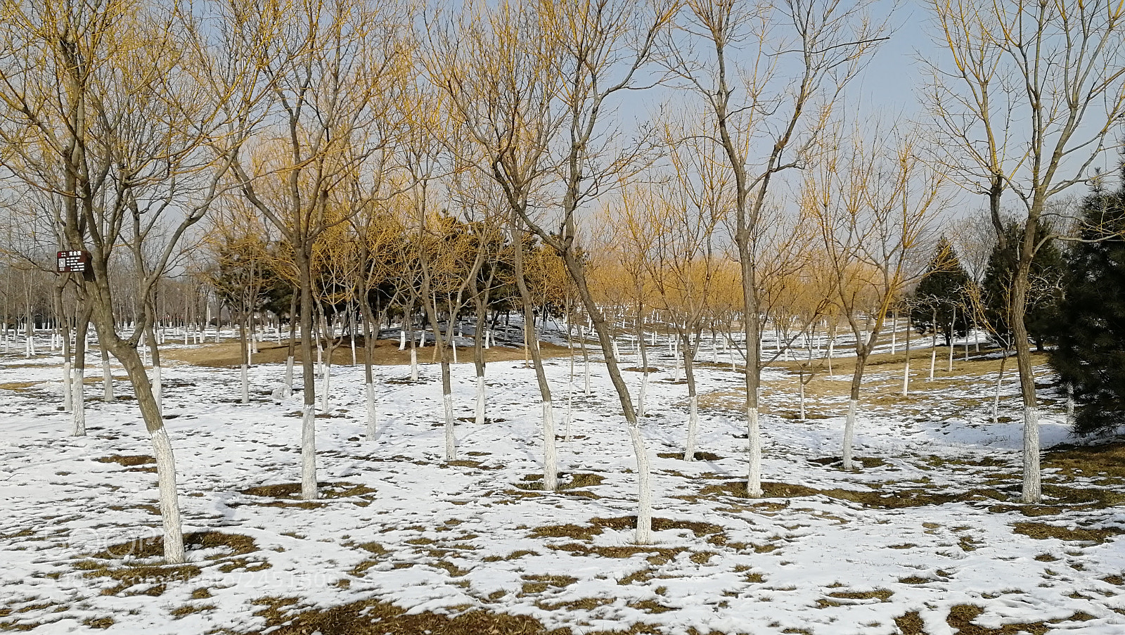 HUAWEI Honor 9 sample photo. Untitled photography