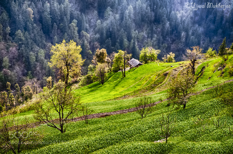 Canon EOS 5D sample photo. Mountain village photography