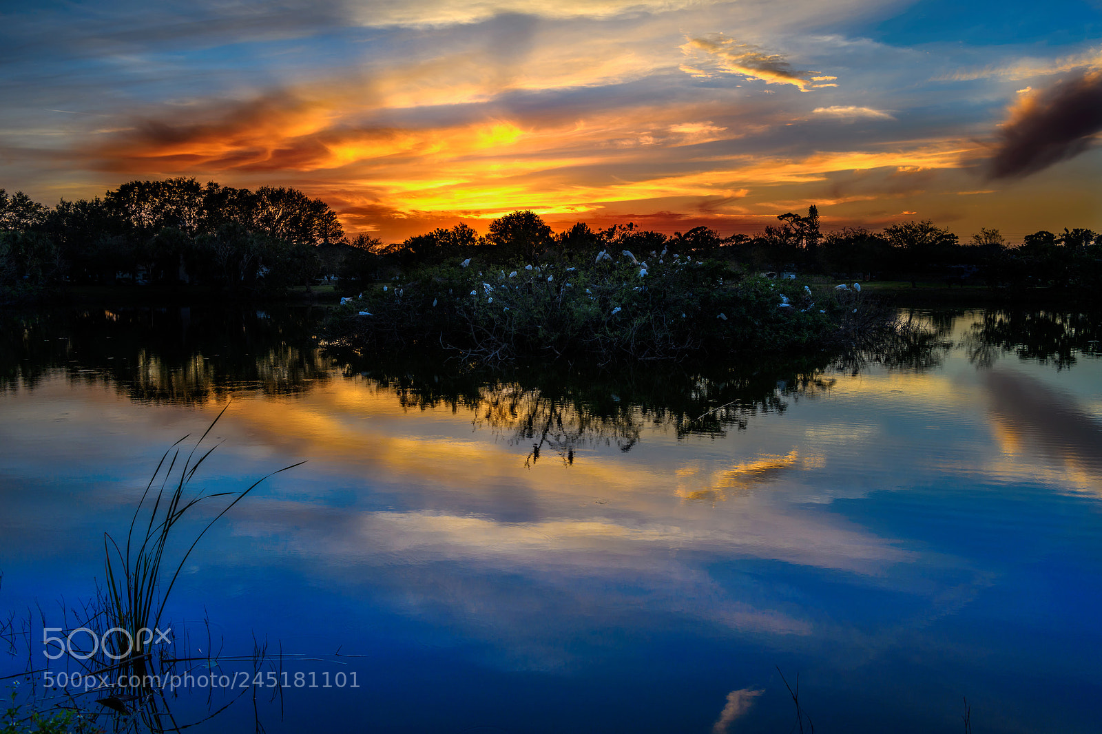 Nikon D850 sample photo. Sunset at the venice photography
