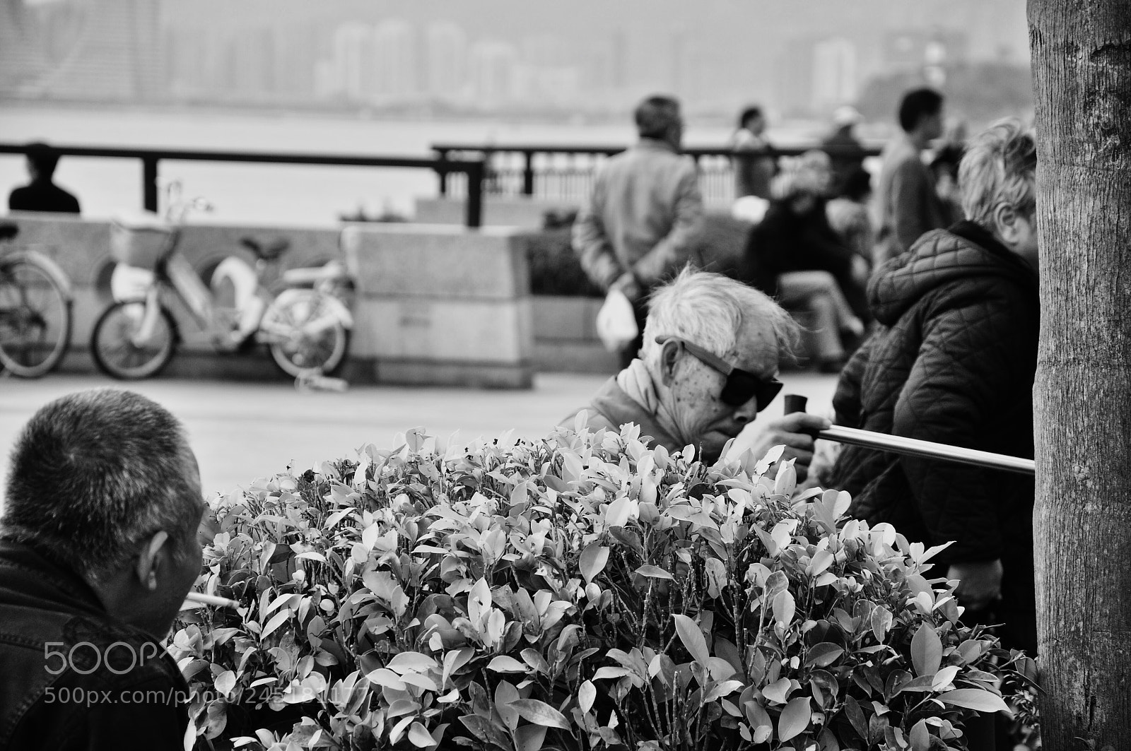 Nikon D90 sample photo. Time to go home... photography