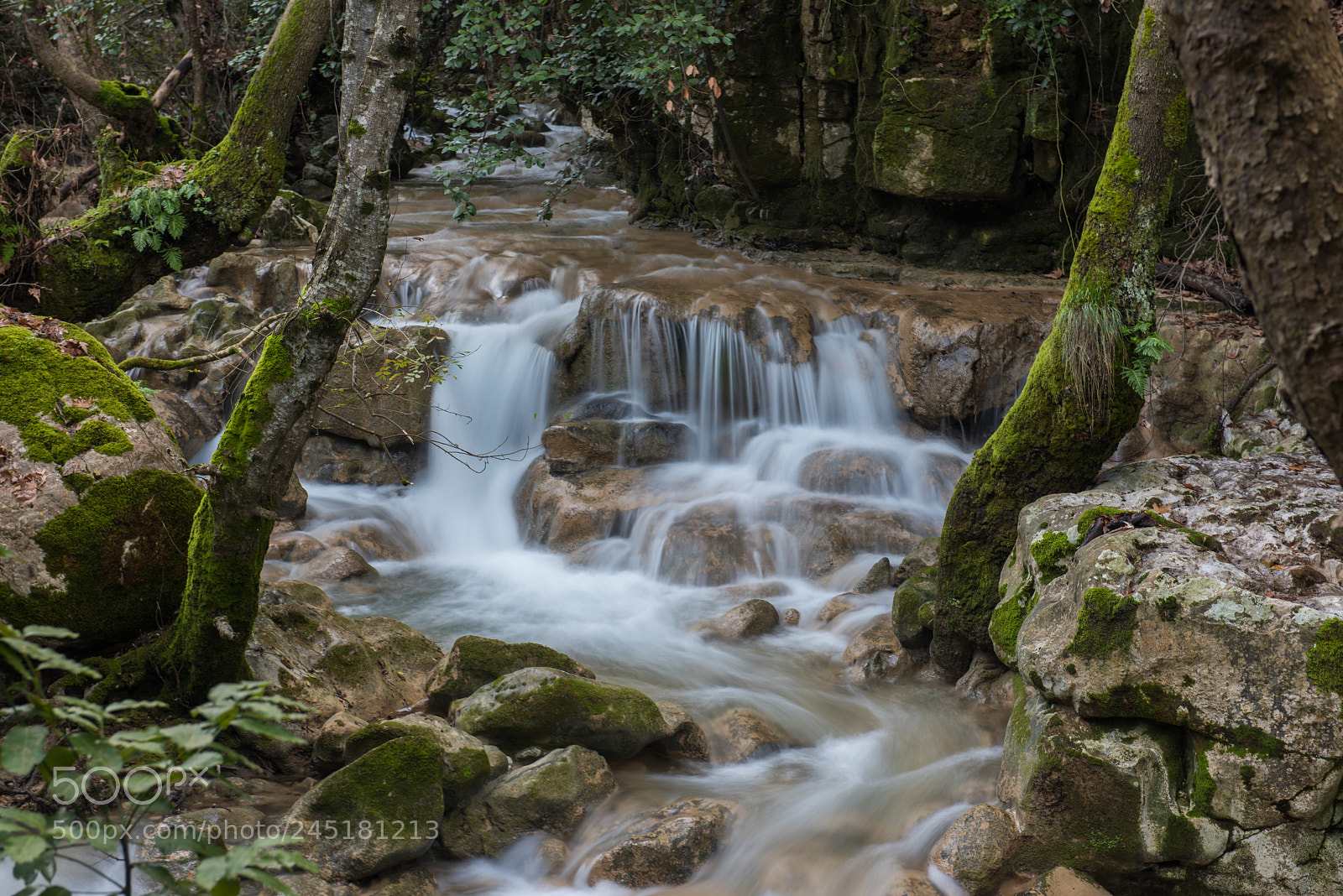 Nikon D810 sample photo. Stream photography