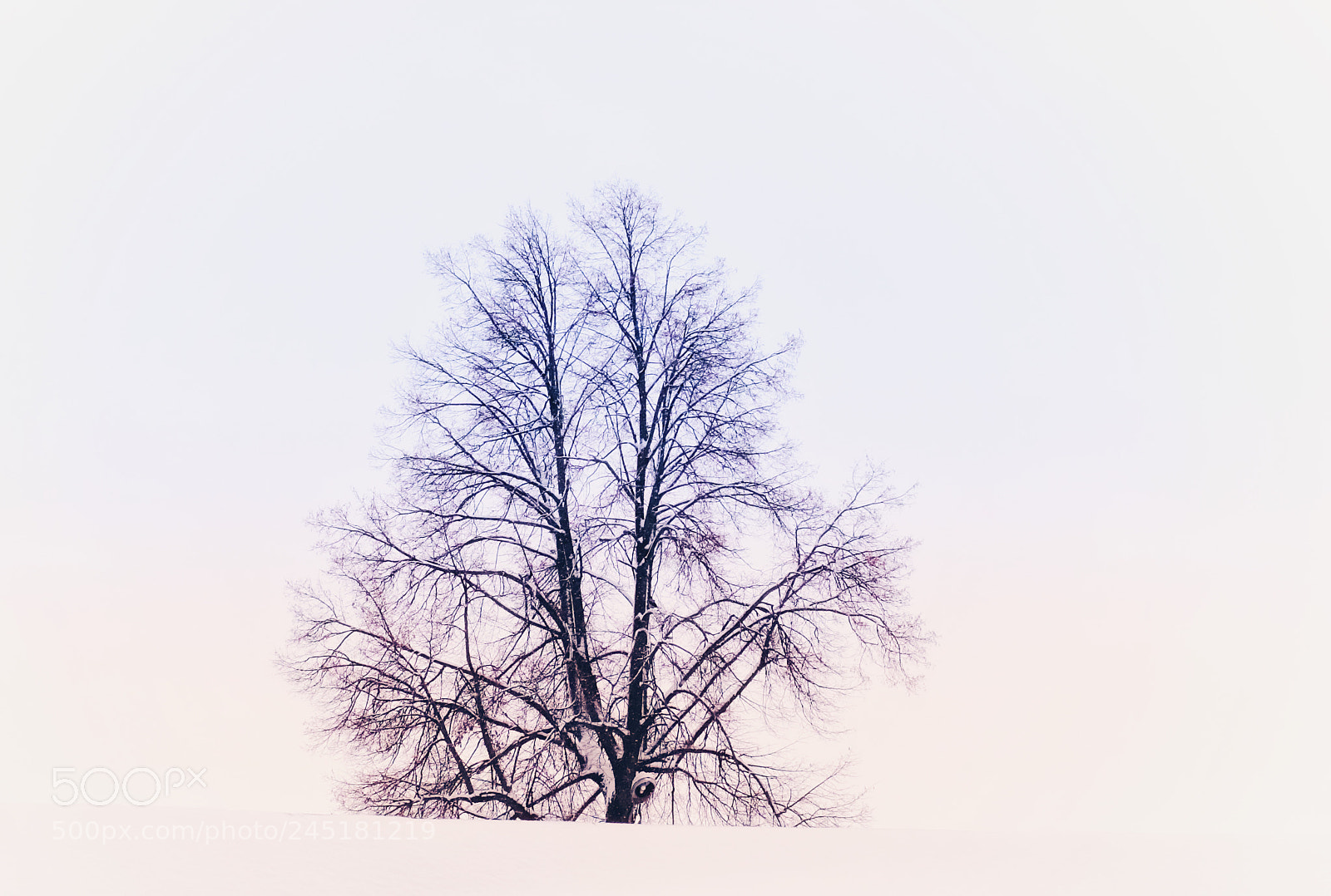 Fujifilm X100F sample photo. Winter in russia. those photography