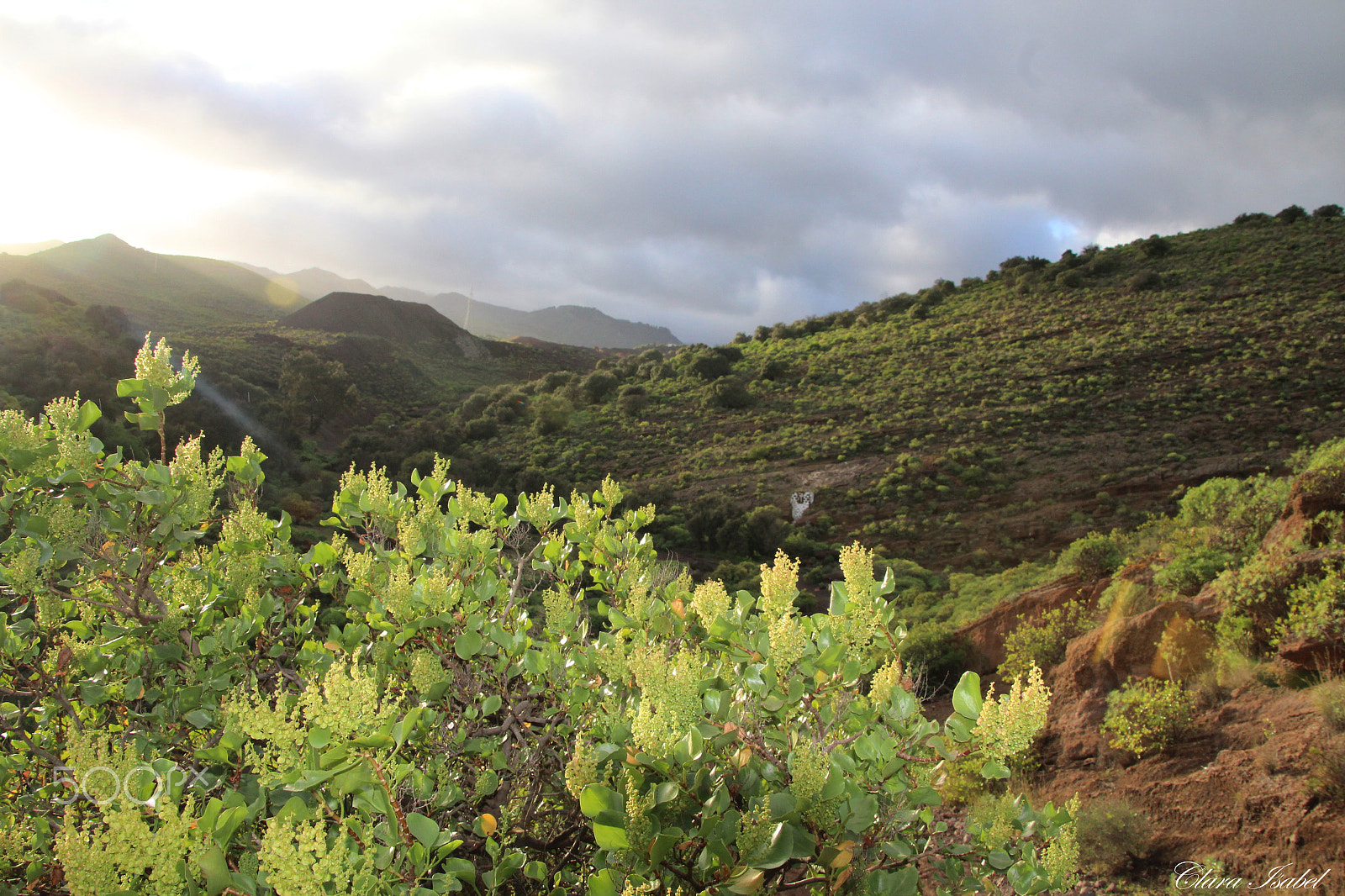 Canon TS-E 90mm F2.8 Tilt-Shift sample photo. Amor por la naturaleza... photography