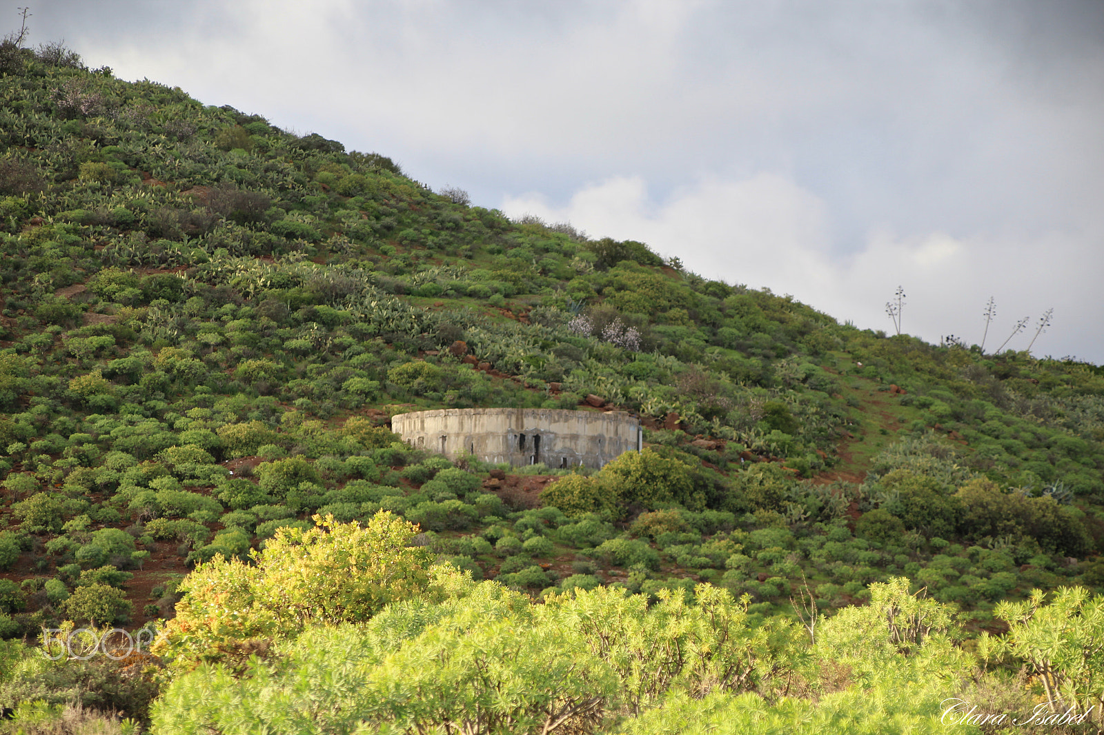 Canon TS-E 90mm F2.8 Tilt-Shift sample photo. Amor por la naturaleza... photography