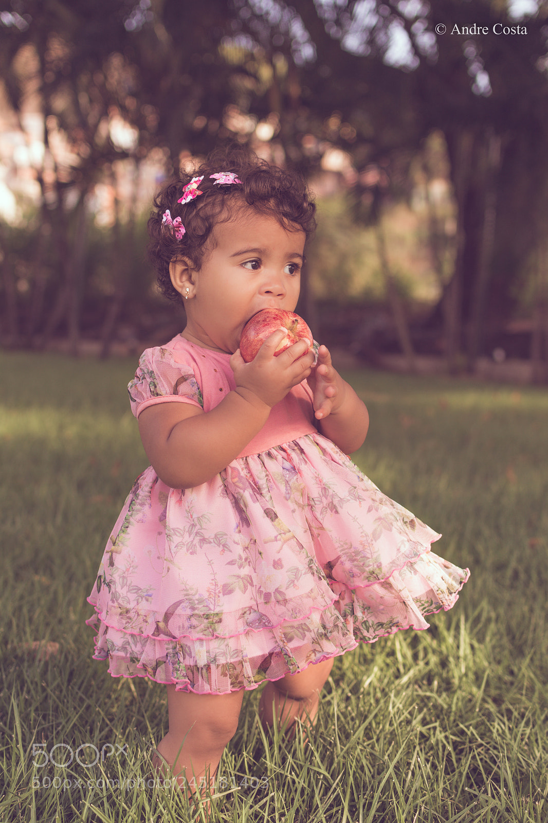 Nikon D7100 sample photo. _nik4254-2.jpg photography