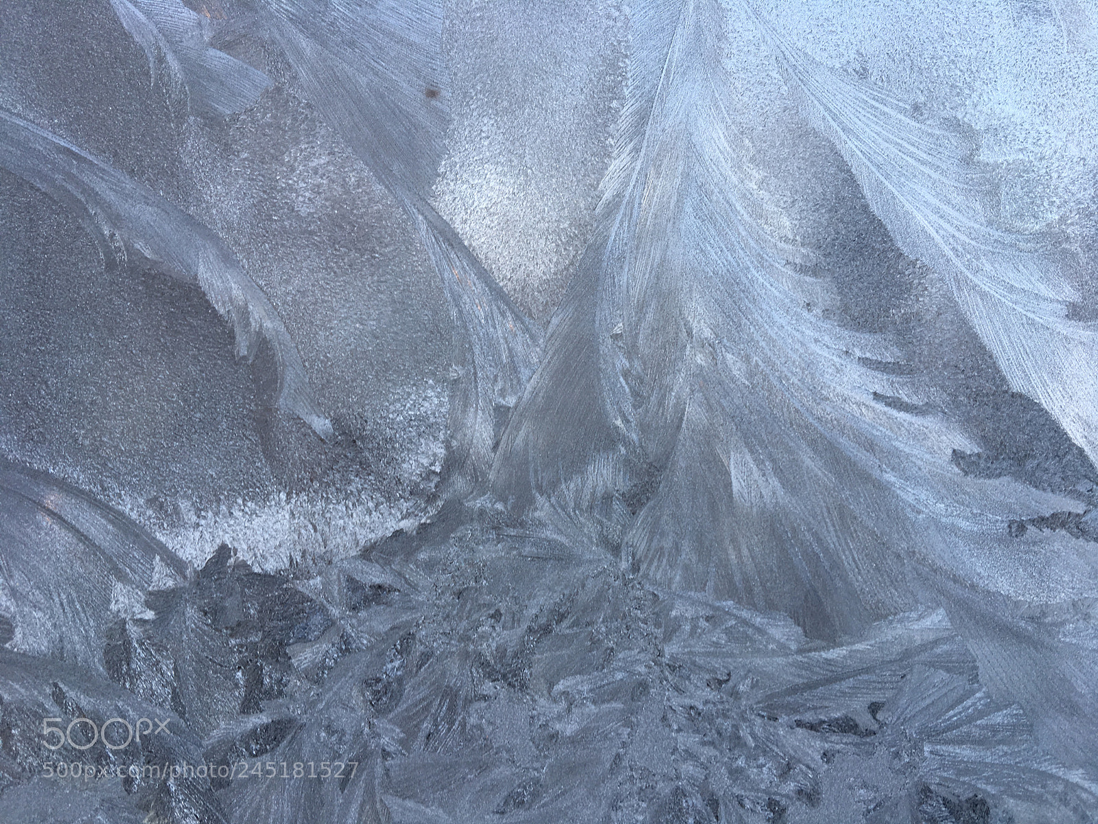 Apple iPhone 6s sample photo. Winter art photography