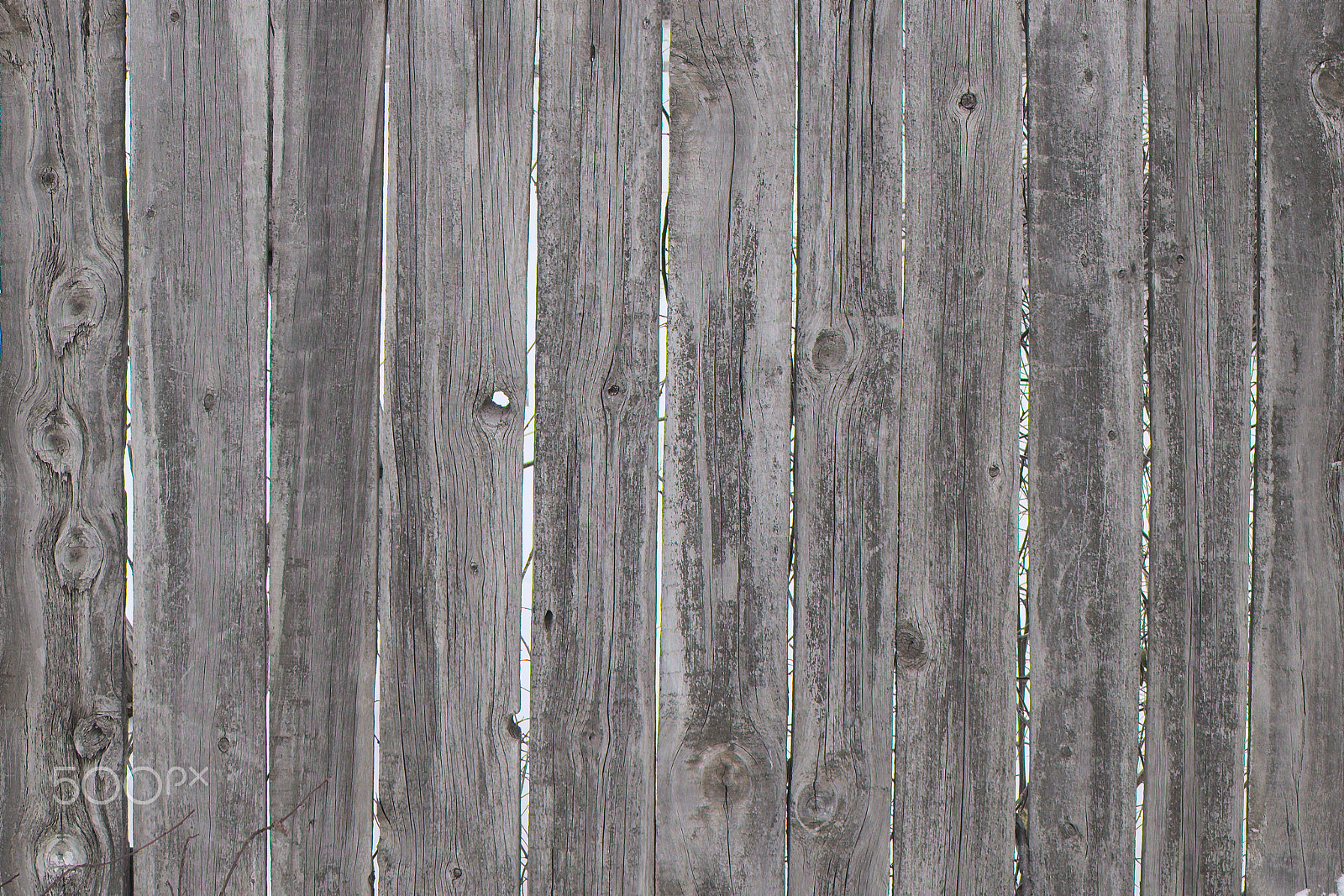 Canon EOS M10 sample photo. Texture of wooden fence on a winter morning photography