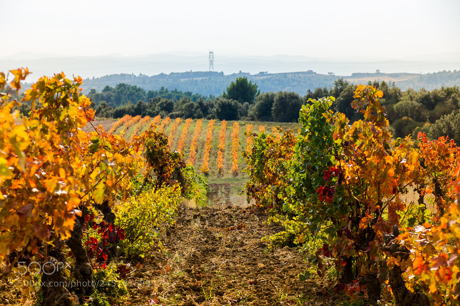 Sony SLT-A77 sample photo. L'automne () photography