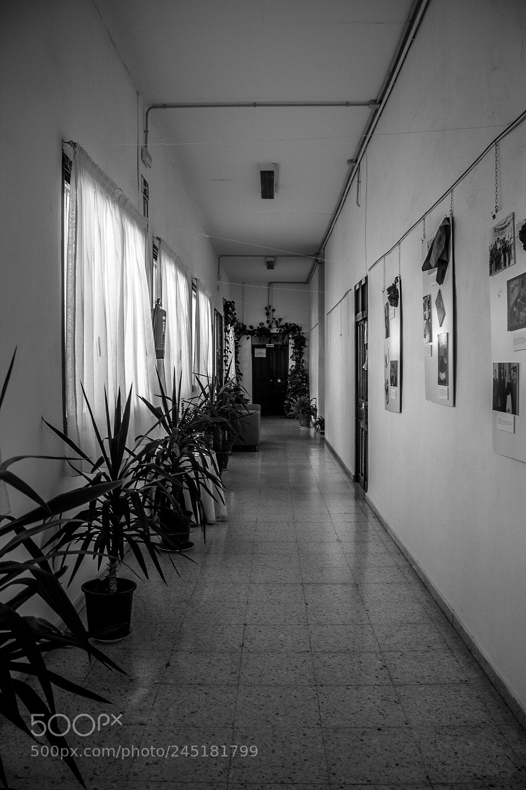 Canon EOS 1200D (EOS Rebel T5 / EOS Kiss X70 / EOS Hi) sample photo. . photography