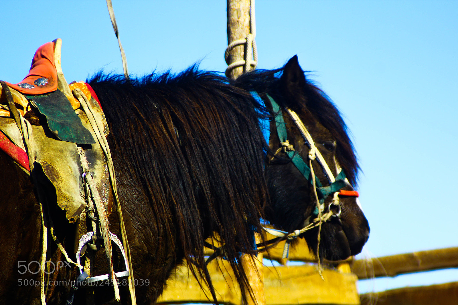 Canon EOS 60D sample photo. Img photography