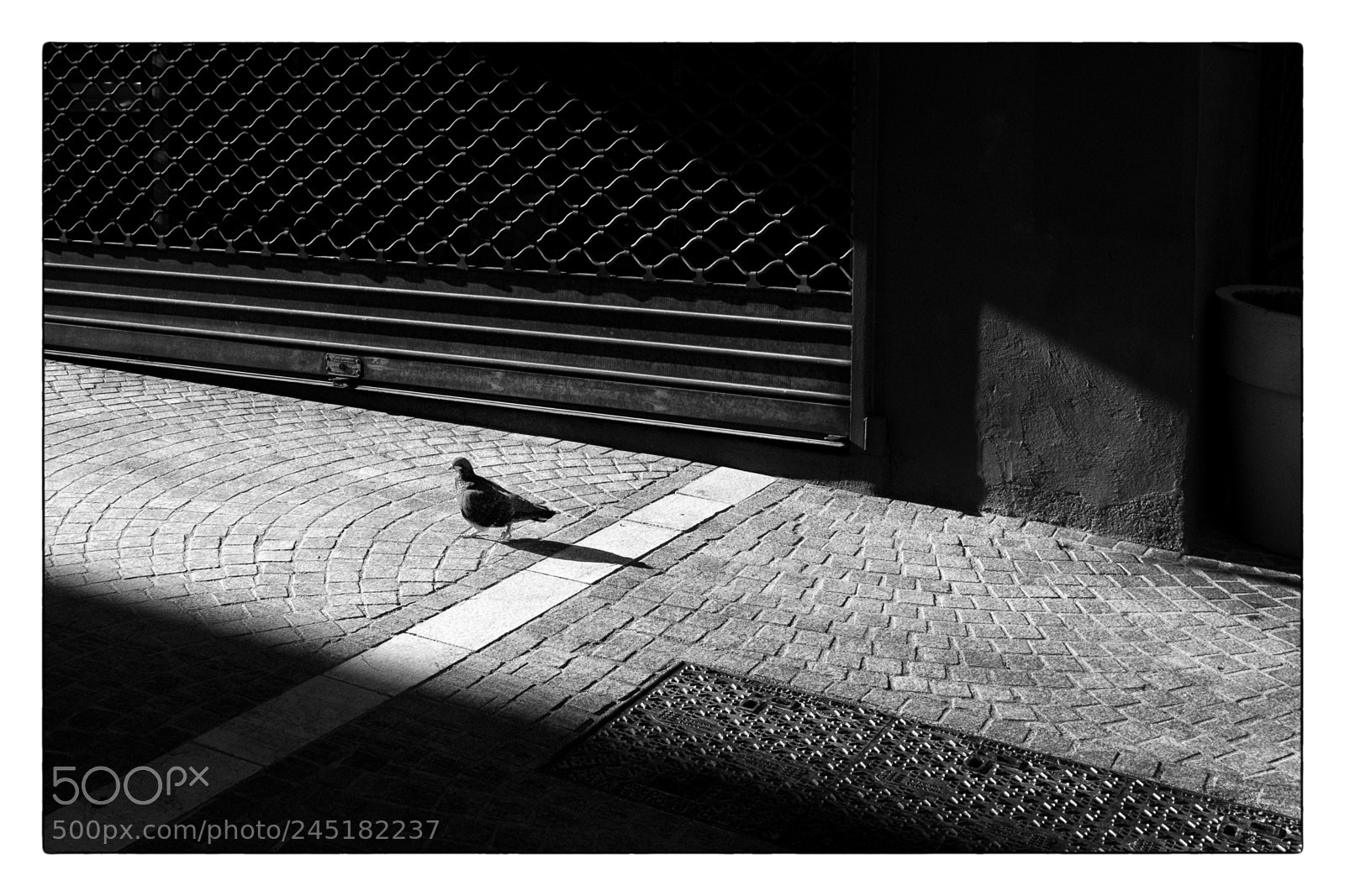 Fujifilm X100F sample photo. Passer la ligne. photography