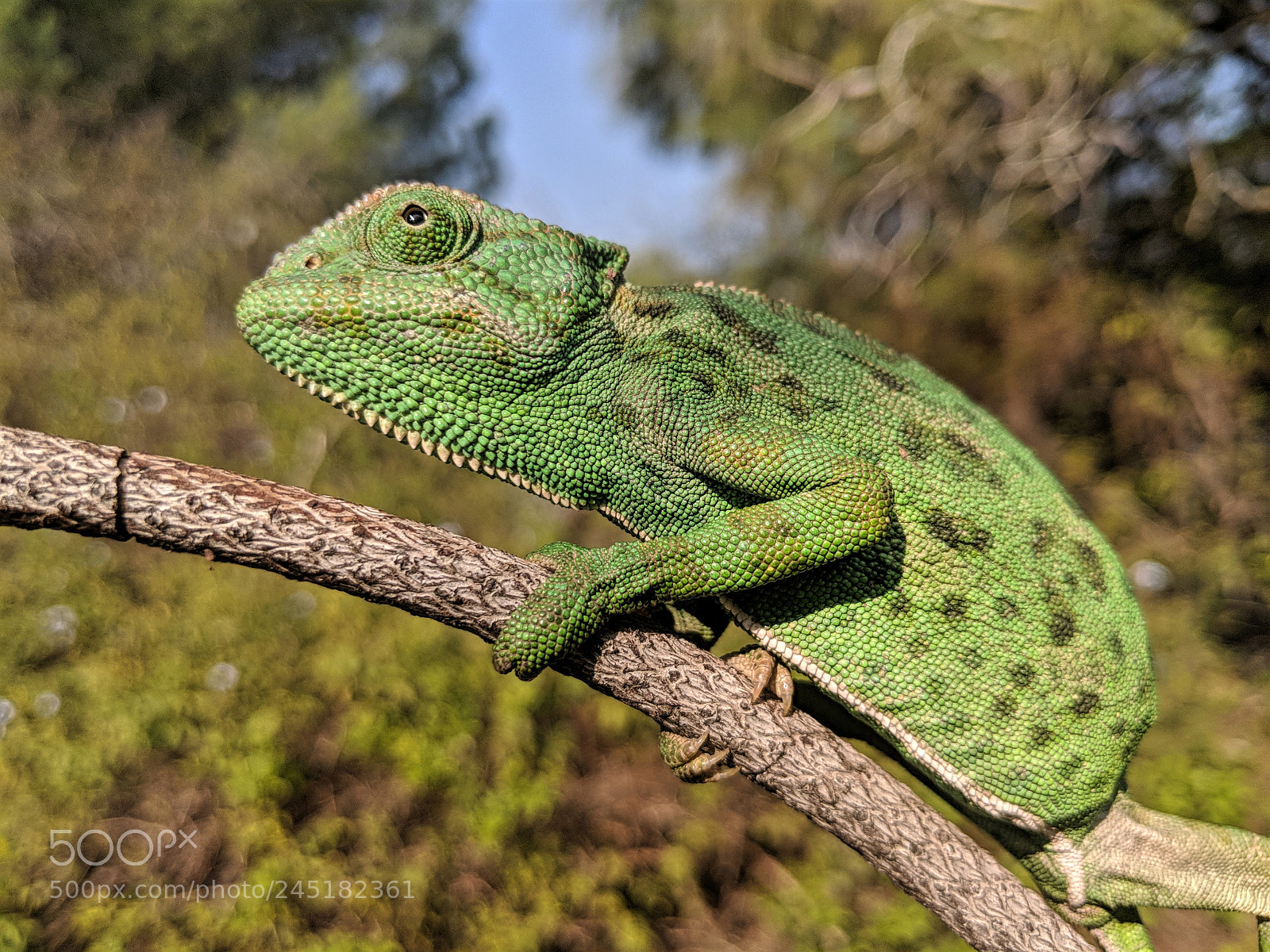 Google Pixel 2 XL sample photo. Mv photography