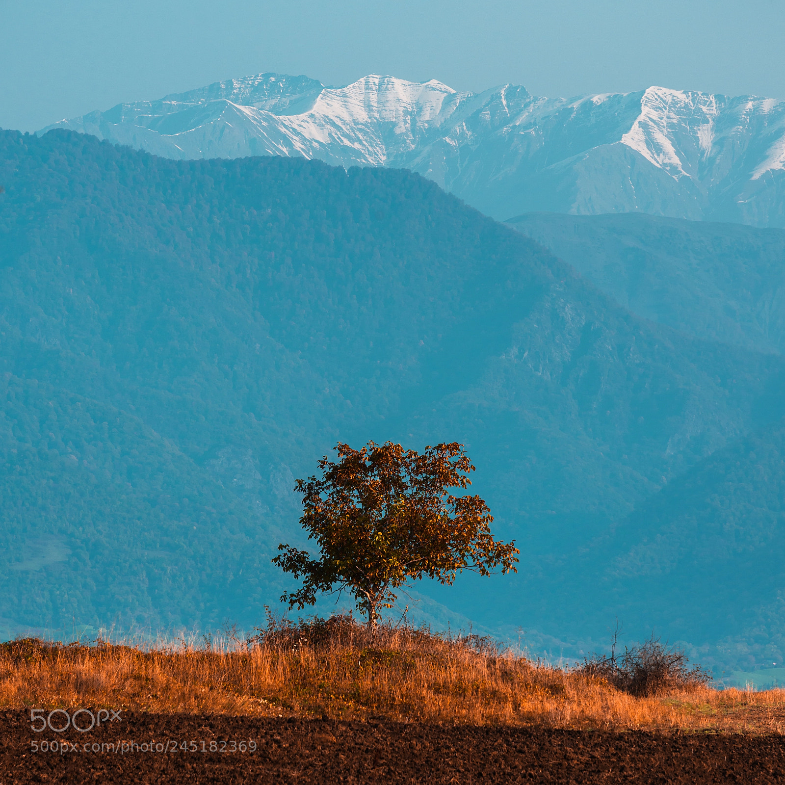 Nikon D800 sample photo. When the winter is photography