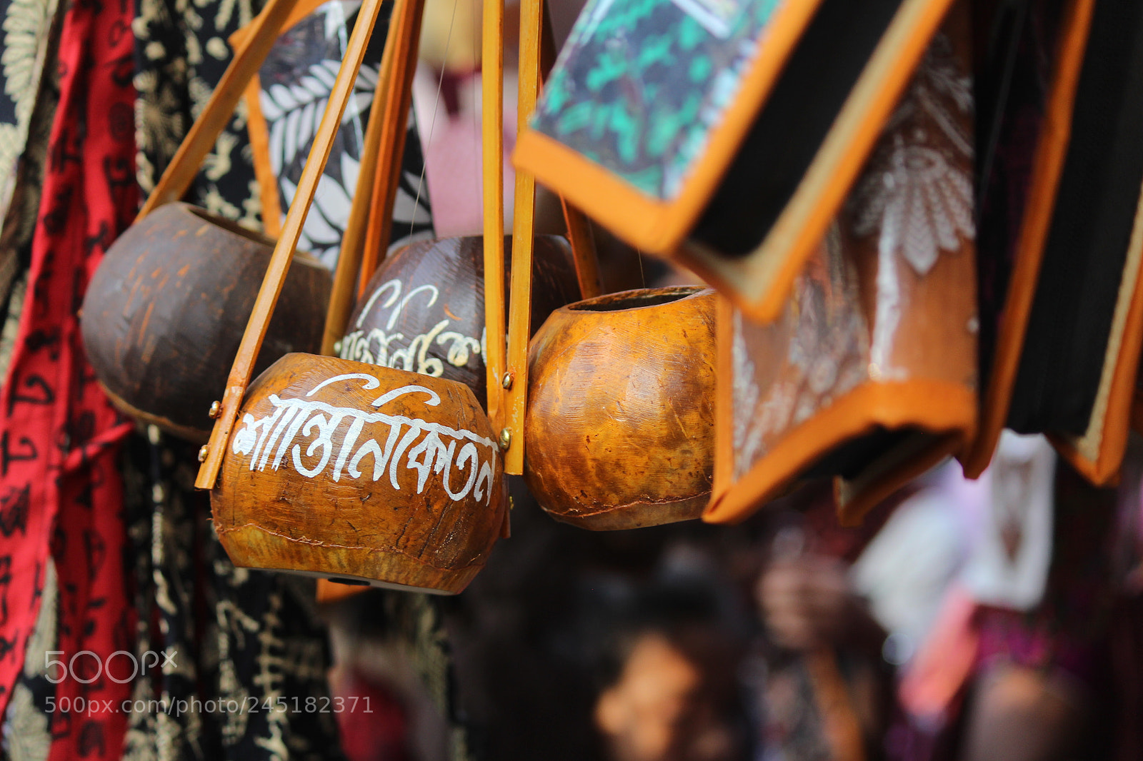 Canon EF-S 55-250mm F4-5.6 IS II sample photo. কেনাকাটার আনন্দ নিকেতন | photography
