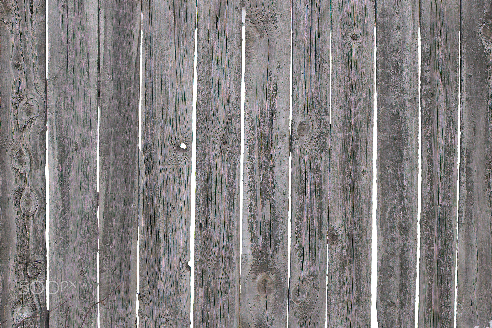 Canon EOS M10 sample photo. Clean texture of wooden fence on a winter morning photography