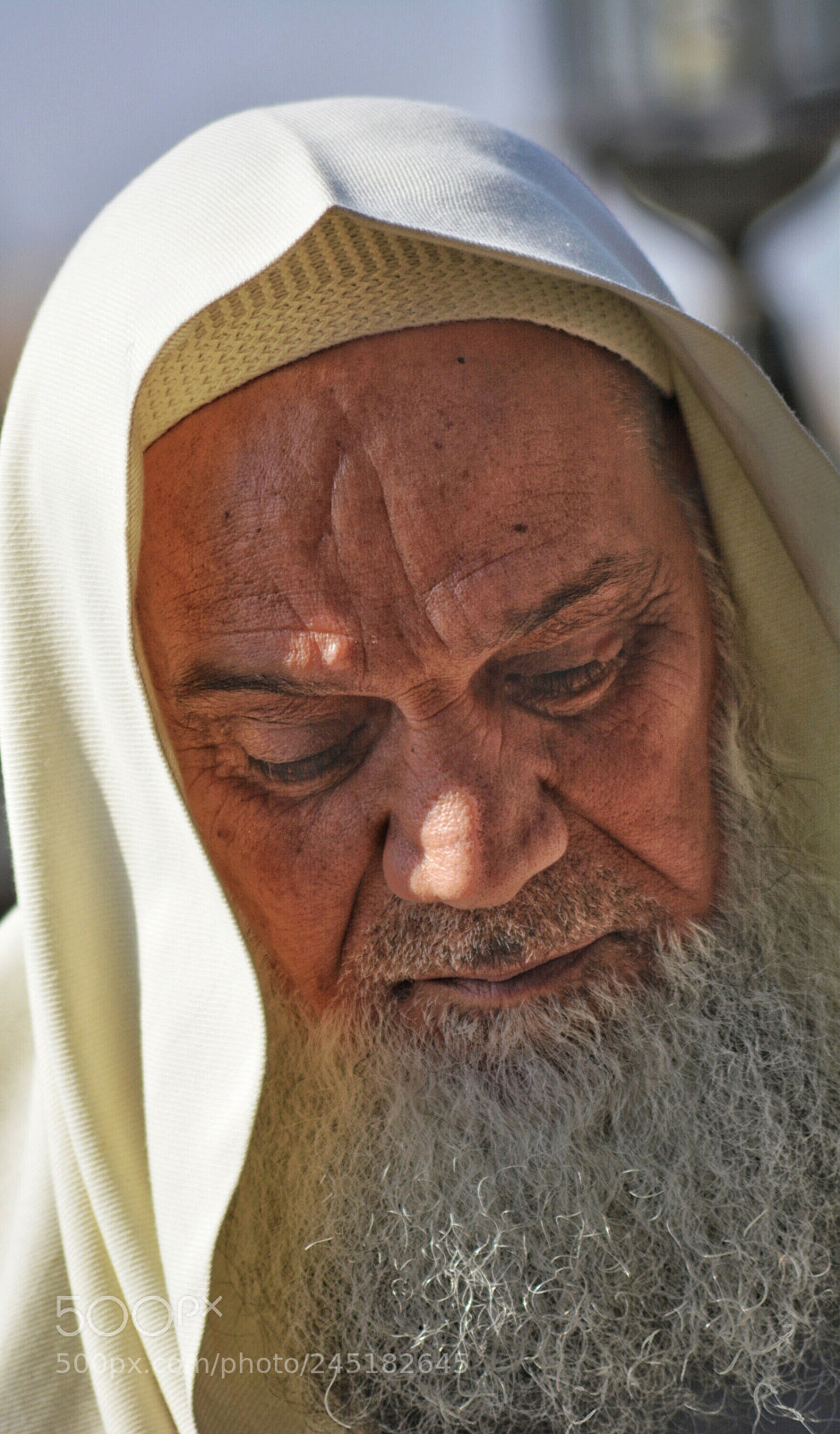 Nikon D7100 sample photo. Untitled photography