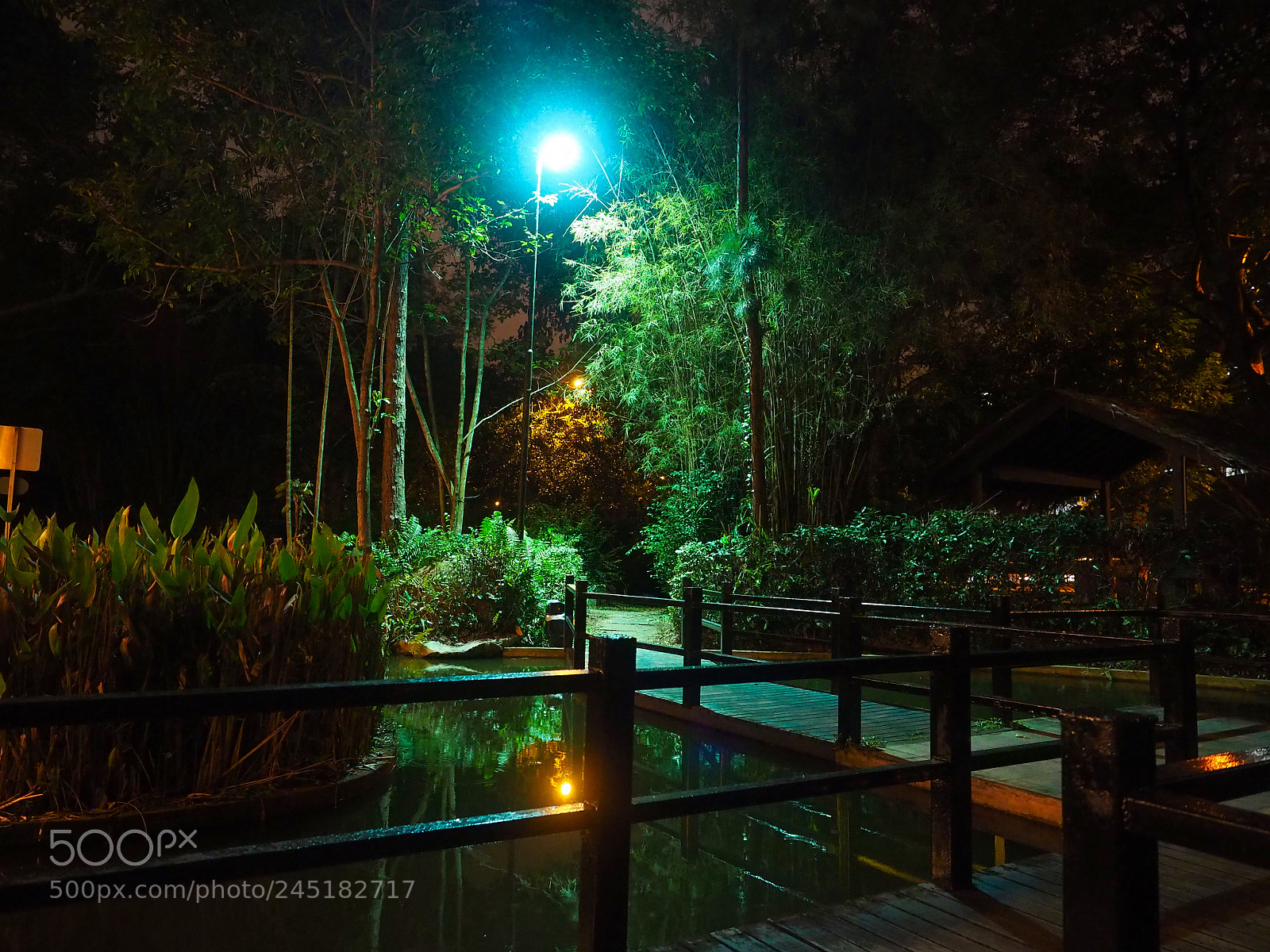 Olympus OM-D E-M5 II sample photo. Night bridge photography