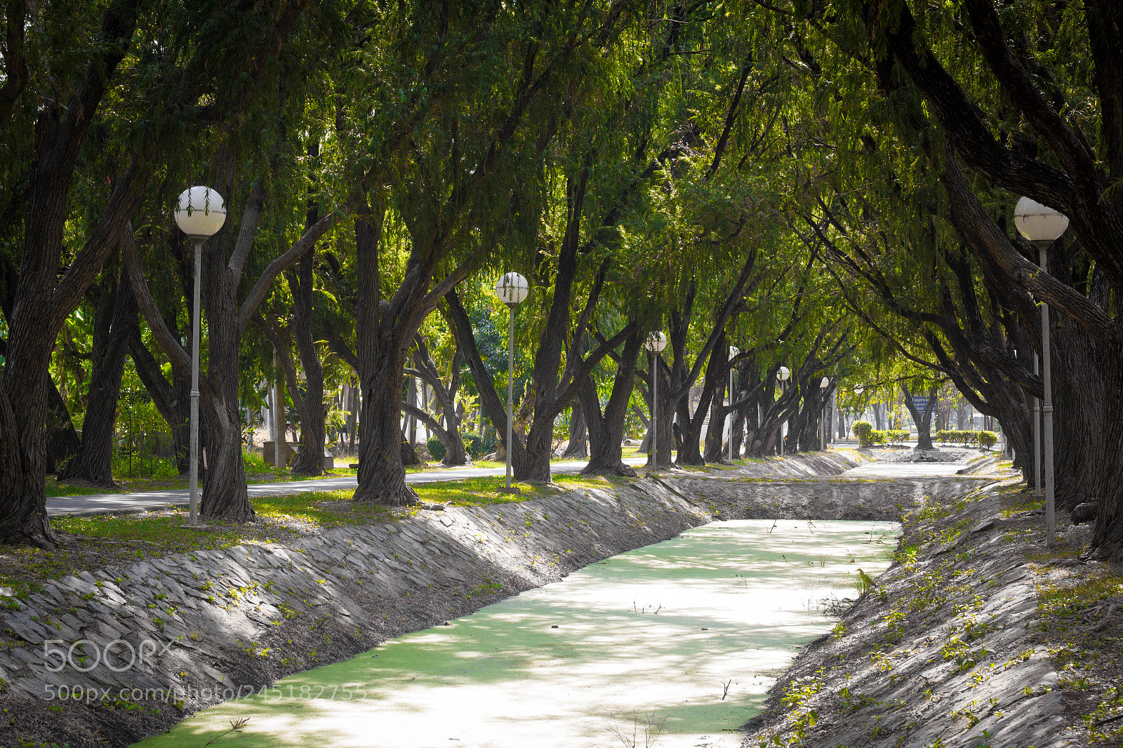 Canon EOS 60D sample photo. Green line photography