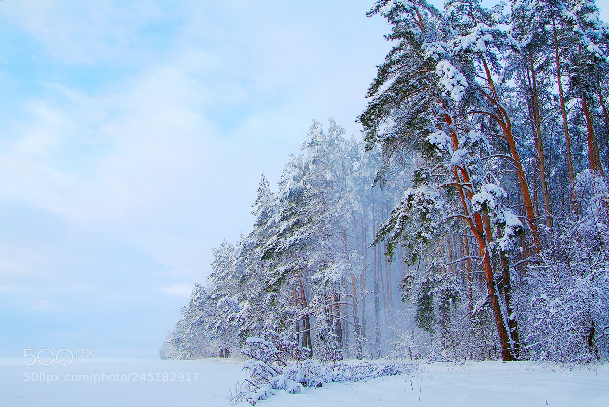Fujifilm FinePix S3 Pro sample photo. Снежный день photography
