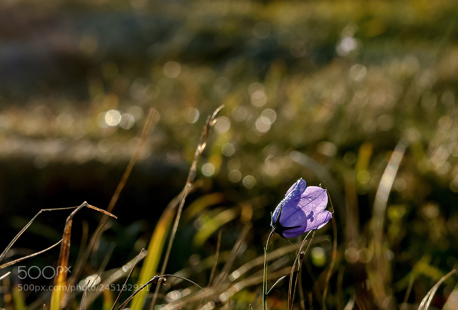 Nikon D7100 sample photo. Таганай. photography