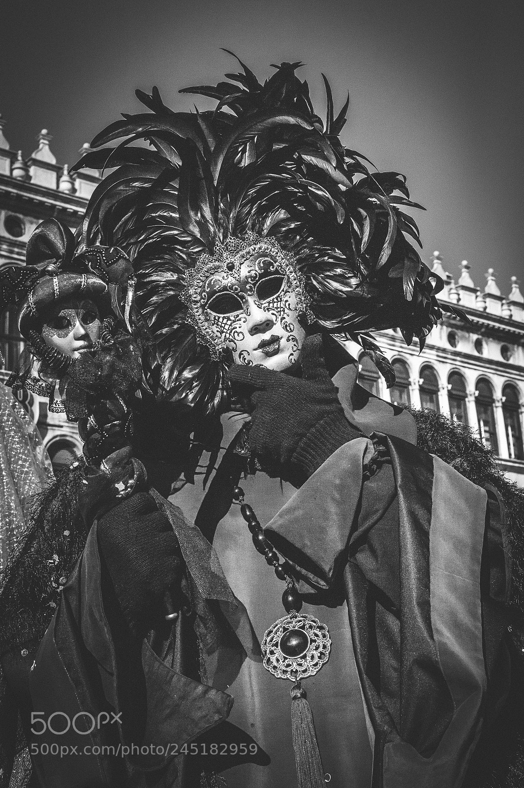 Nikon D700 sample photo. Black carnival mask photography