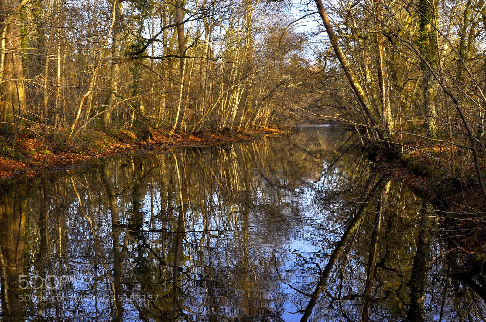 Nikon D90 sample photo. Parc ch teau la photography