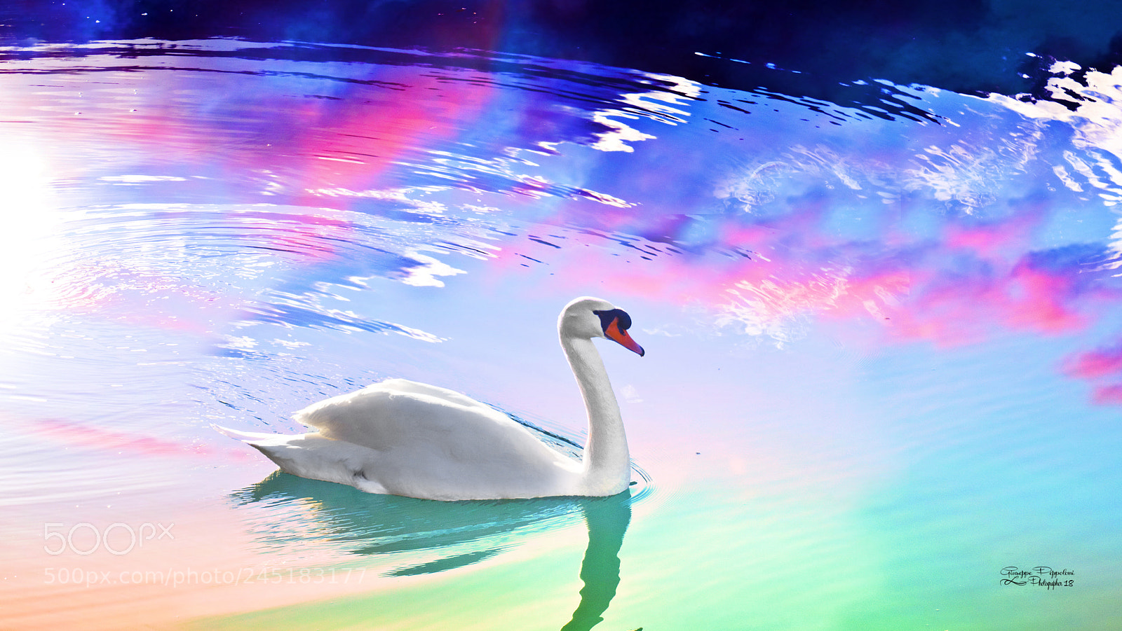 Canon PowerShot G3 X sample photo. Swan photography