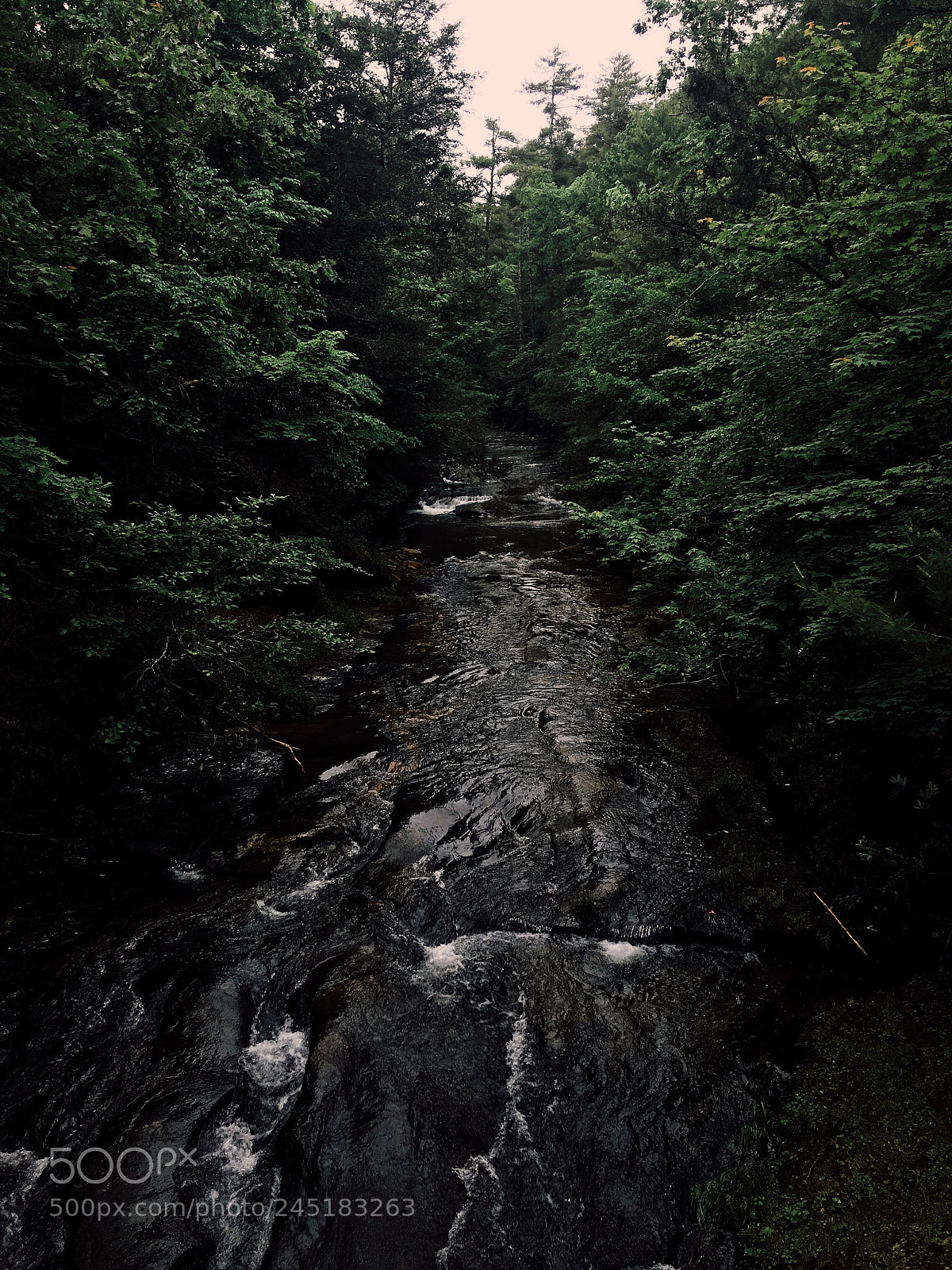 Apple iPhone 6s Plus sample photo. My summer as a photography
