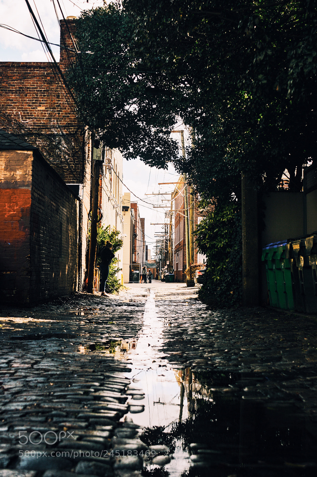 Nikon D3200 sample photo. The alleyways of richmond photography