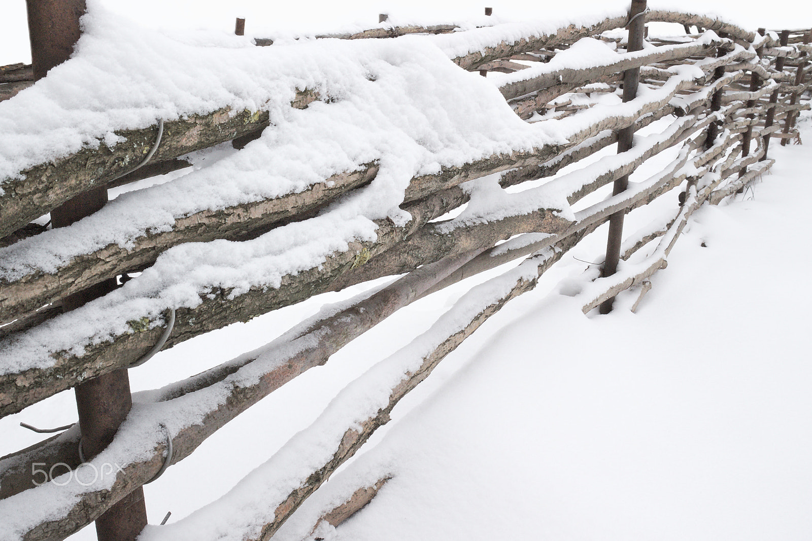 Canon EOS M10 sample photo. Fence of twigs and rods photography