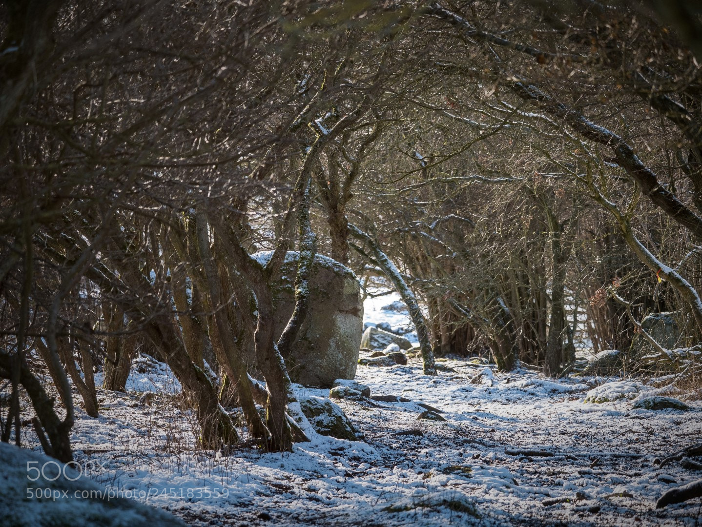 Panasonic Lumix DMC-GX85 (Lumix DMC-GX80 / Lumix DMC-GX7 Mark II) sample photo. The path to adventures photography