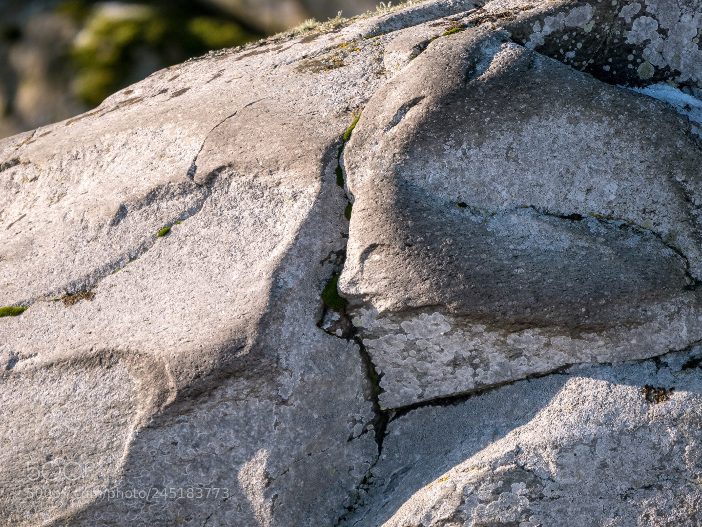 Panasonic Lumix DMC-GX85 (Lumix DMC-GX80 / Lumix DMC-GX7 Mark II) sample photo. A face in the photography