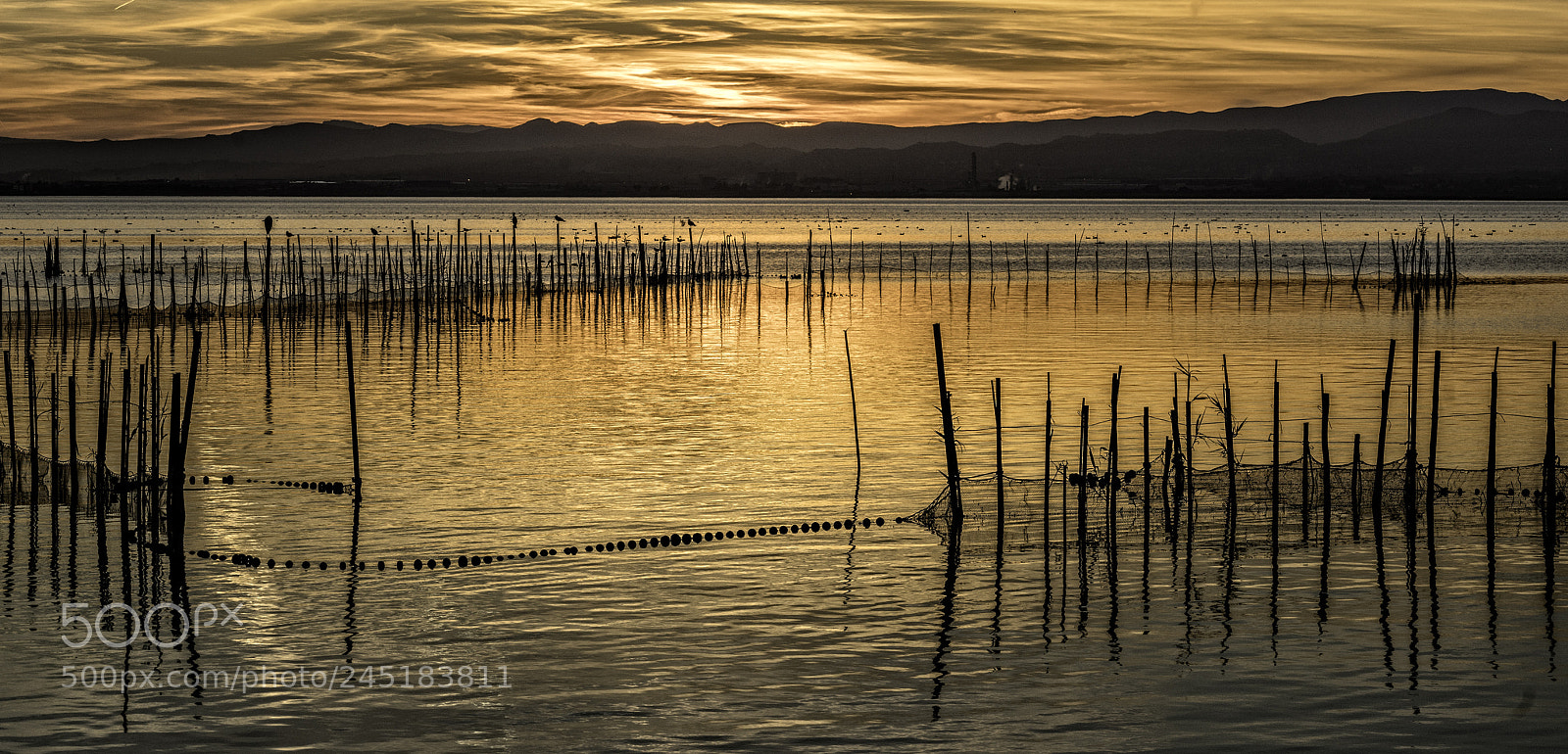 Sony a7R II sample photo. Fenced photography
