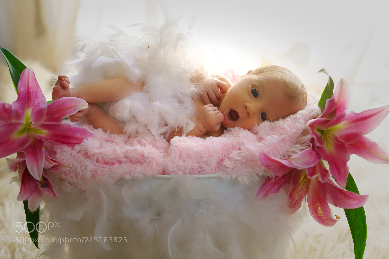 Sony a7R II sample photo. Welcome angel photography