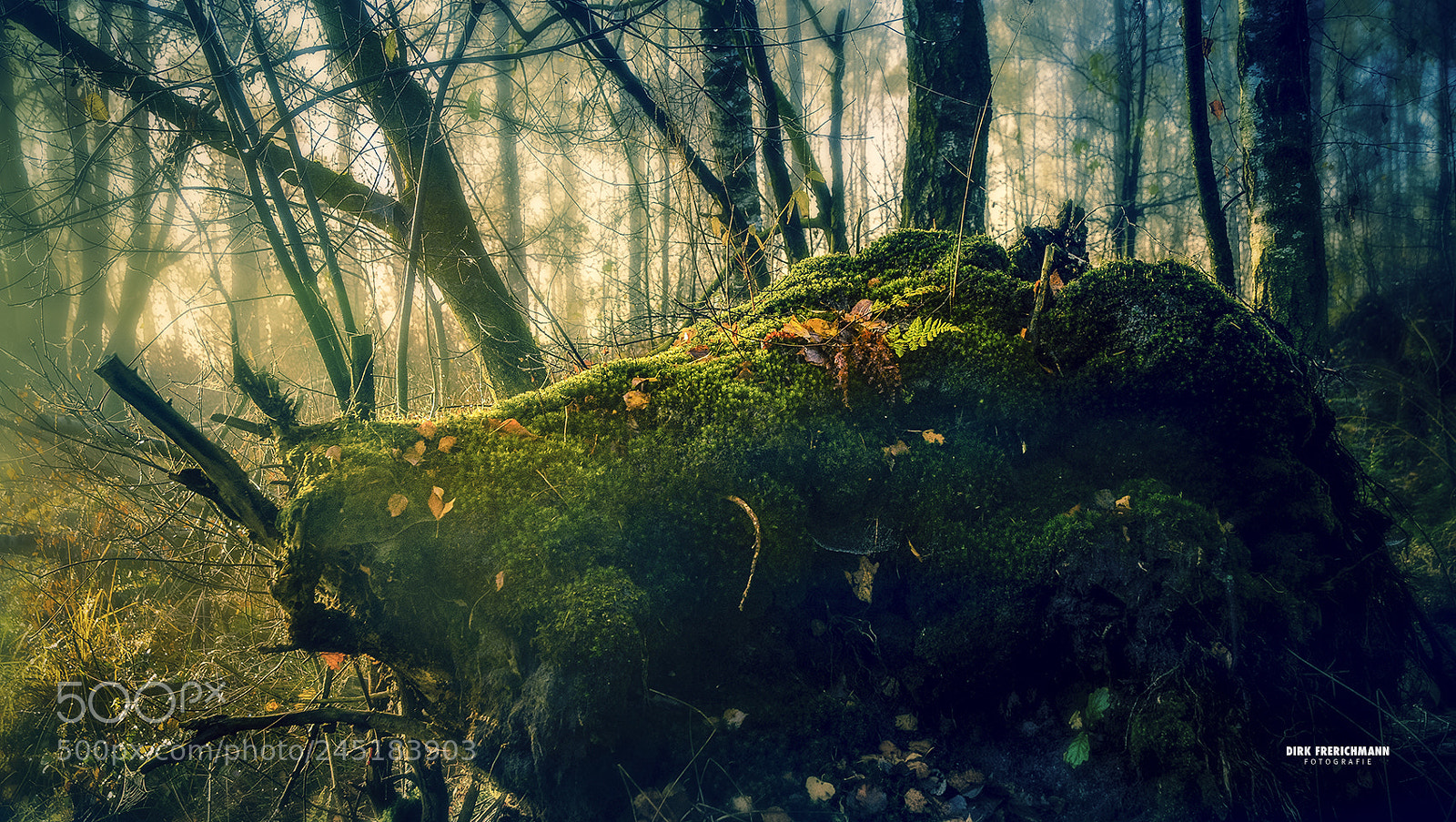 Nikon D300S sample photo. Davert photography