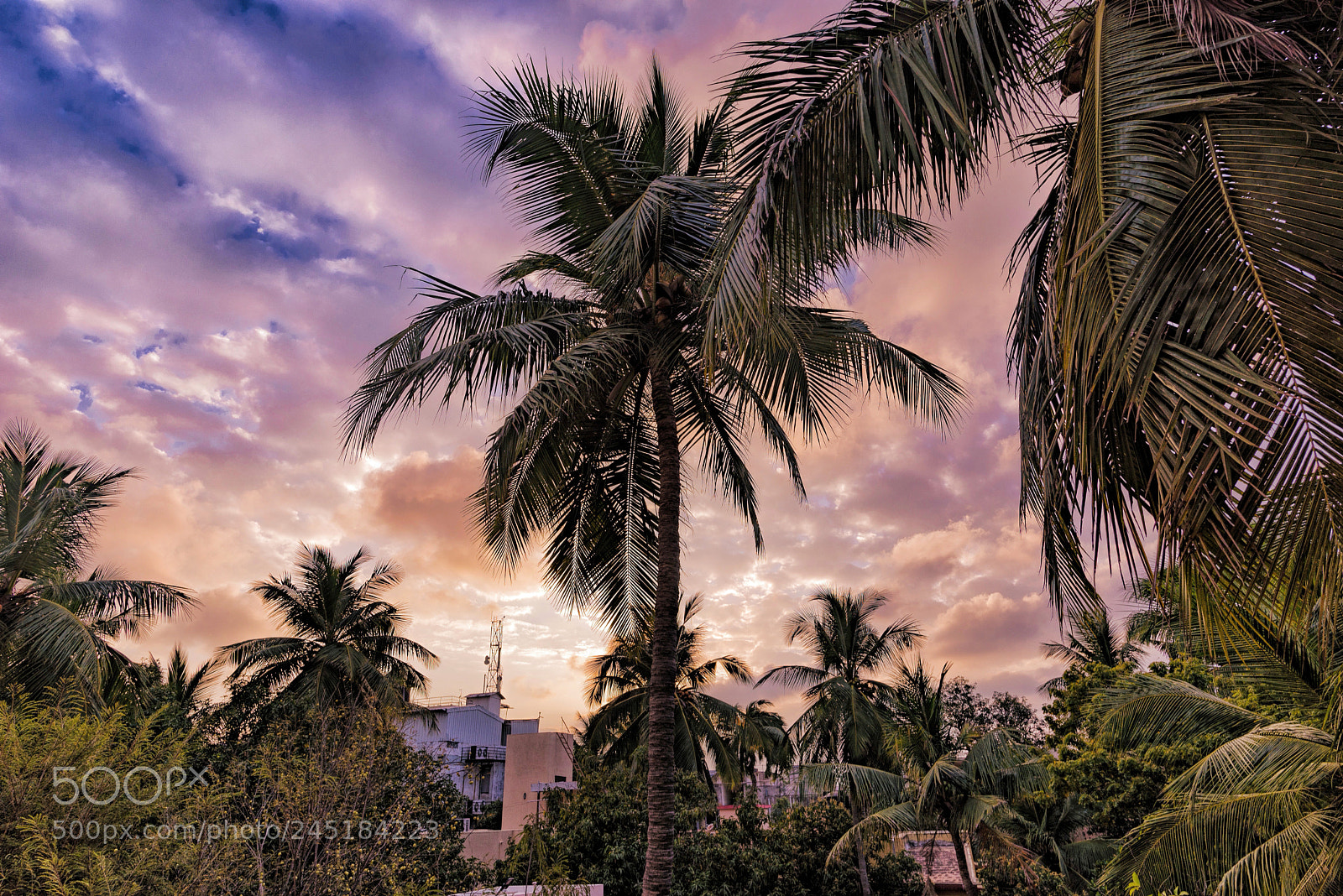 Nikon D610 sample photo. Chennai sunset photography