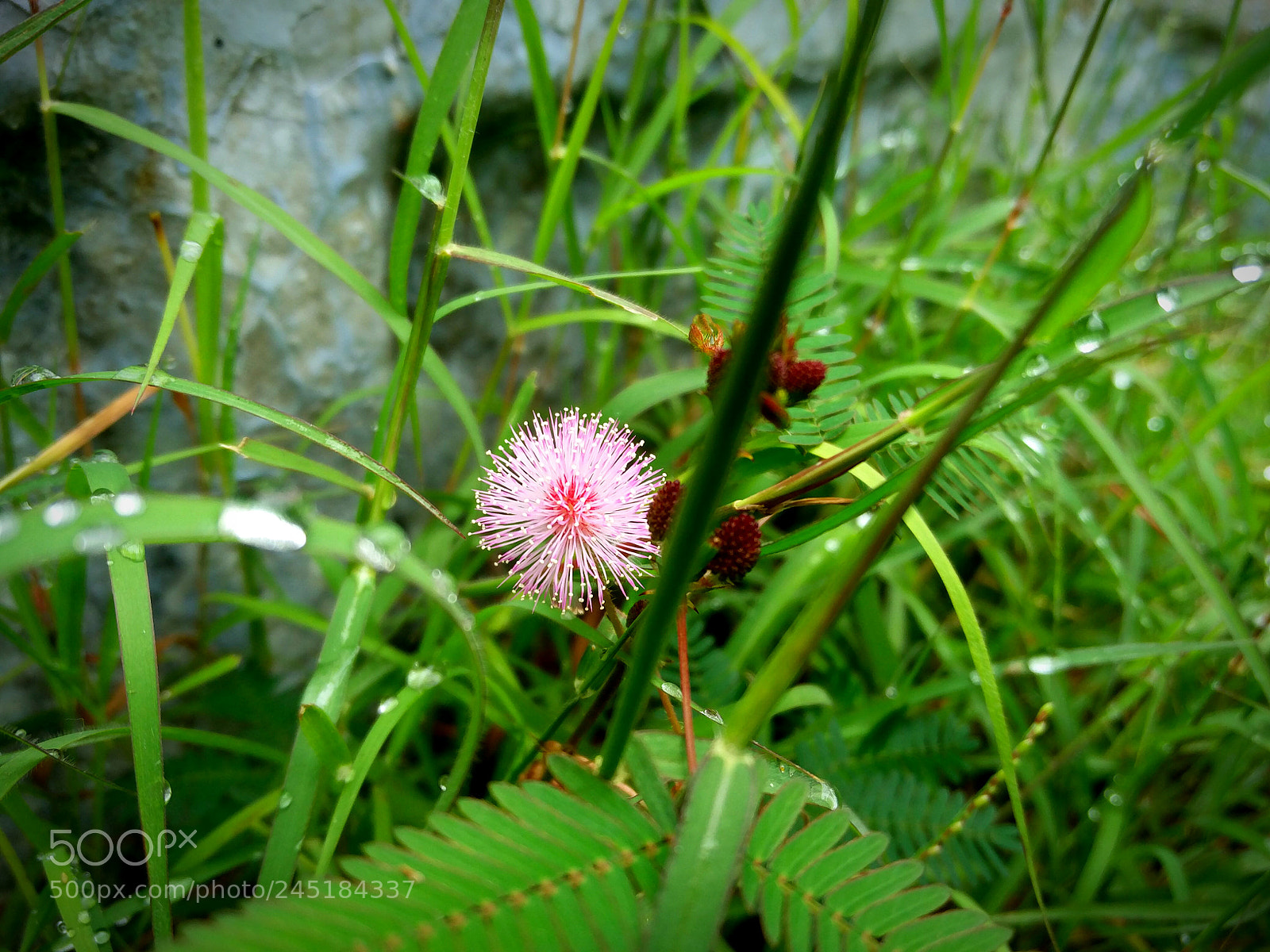 OnePlus 2 sample photo. Untitled photography