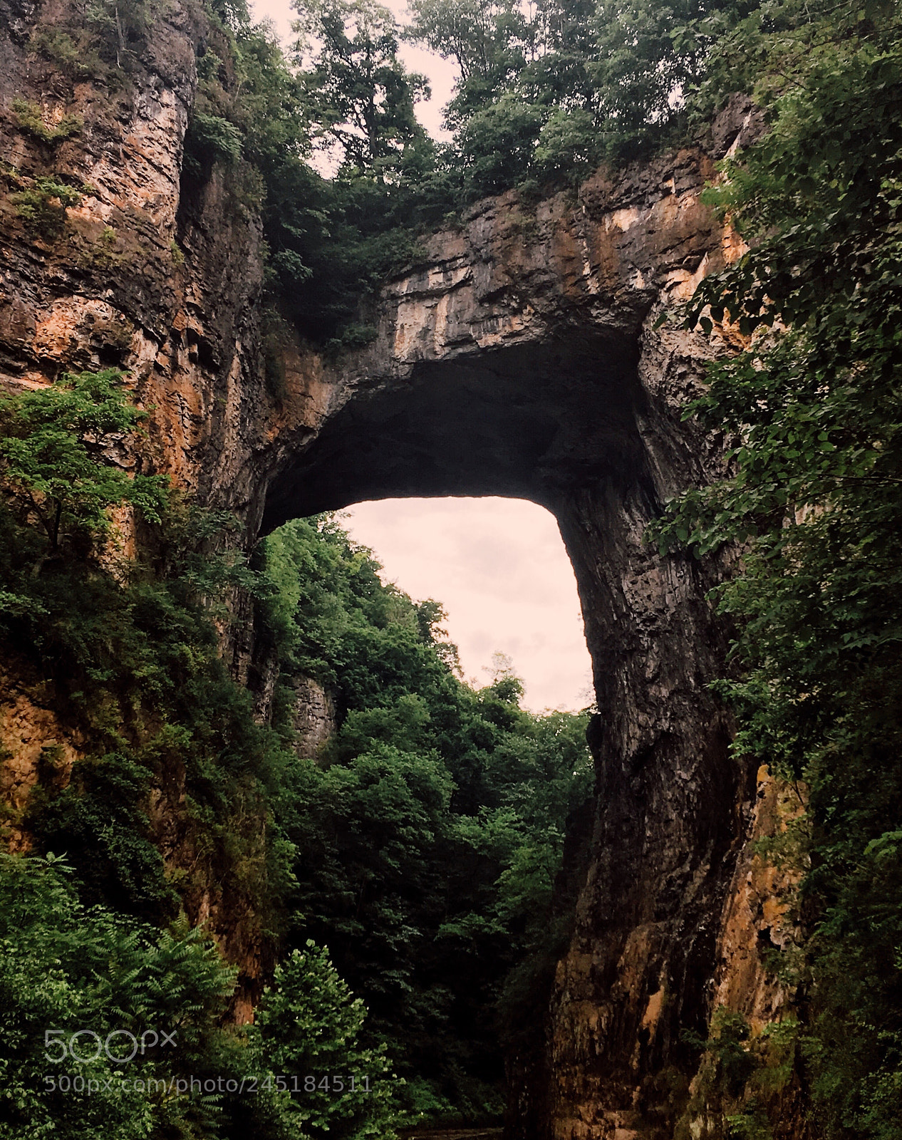 Apple iPhone 6s Plus sample photo. The bridge. photography