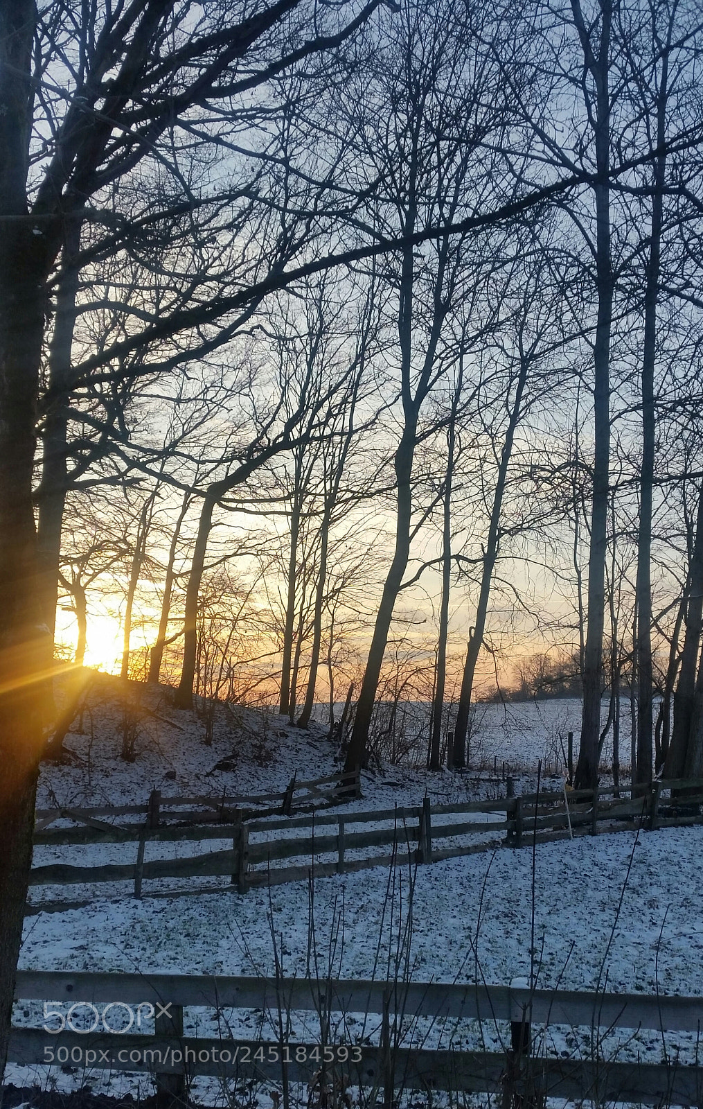 Samsung Galaxy S5 sample photo. Lichtblicke photography