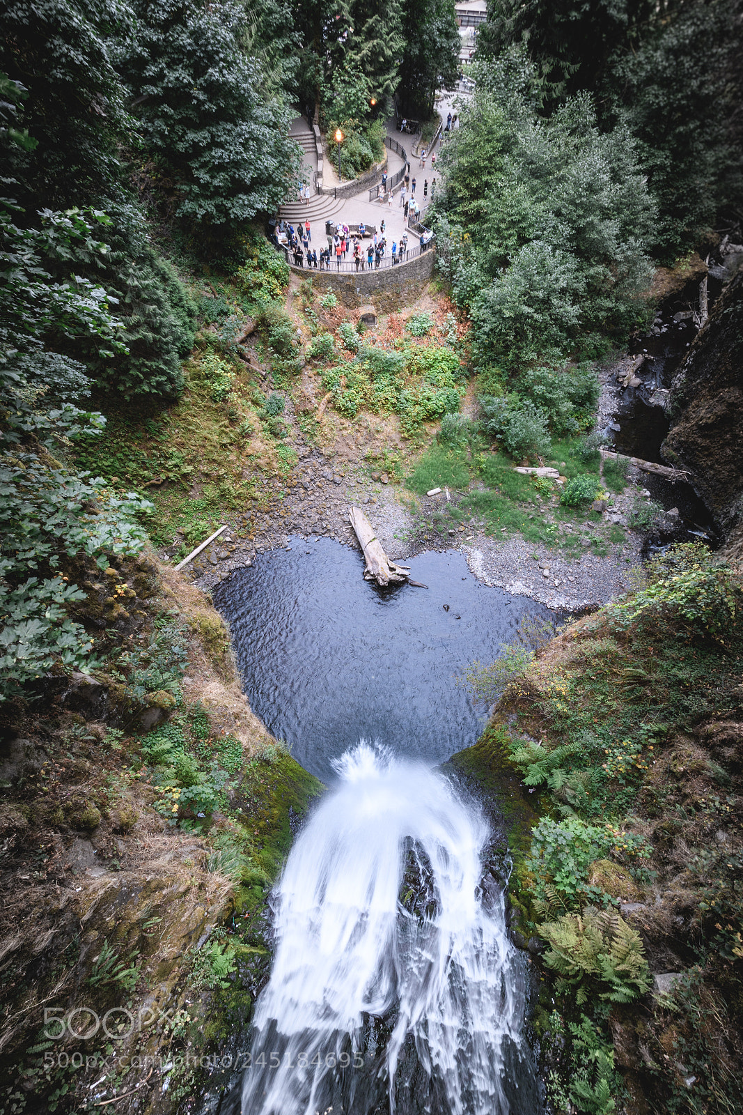 Nikon D7500 sample photo. Top view photography
