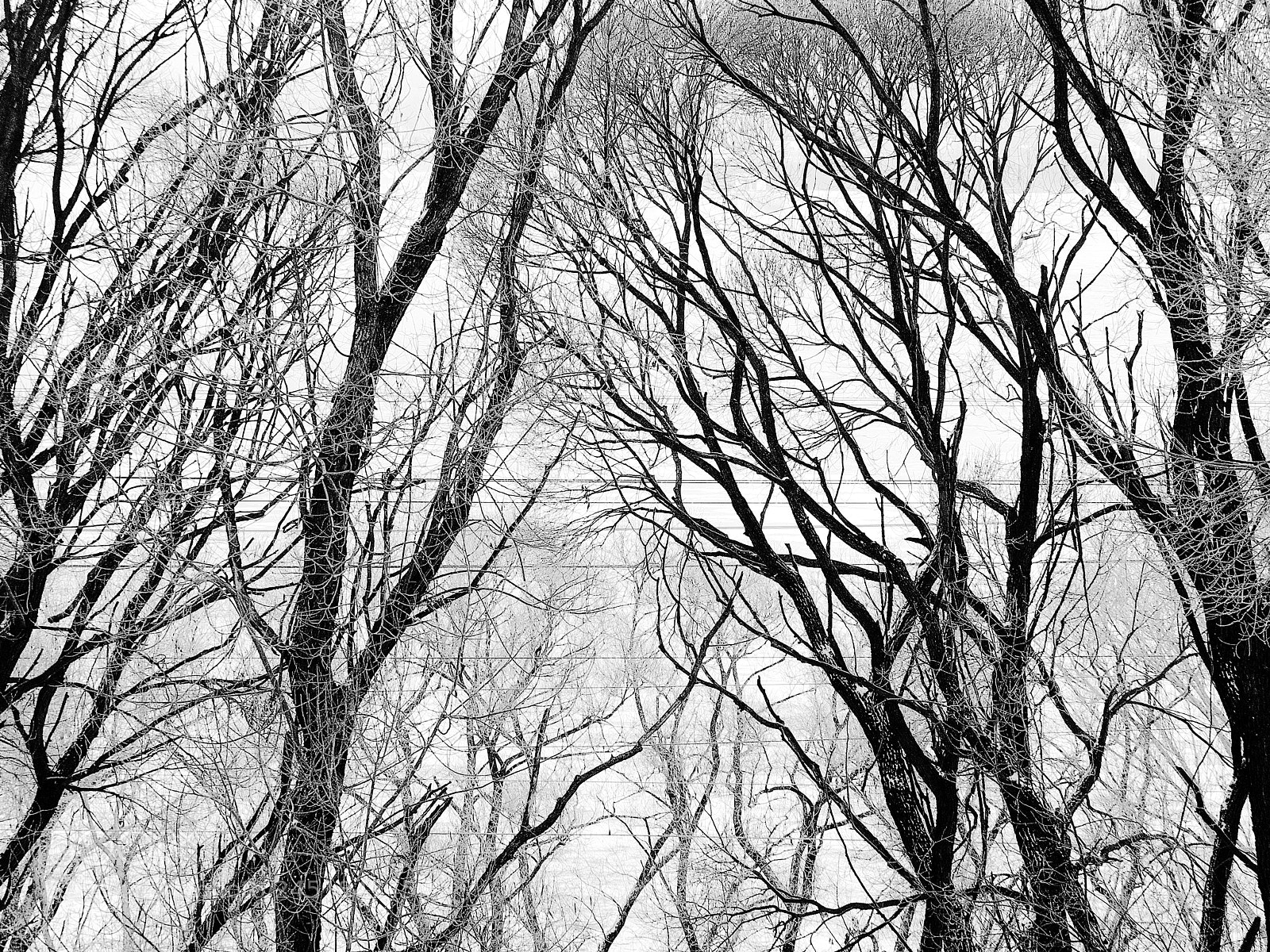 Fujifilm X20 sample photo. Кружева lace photography