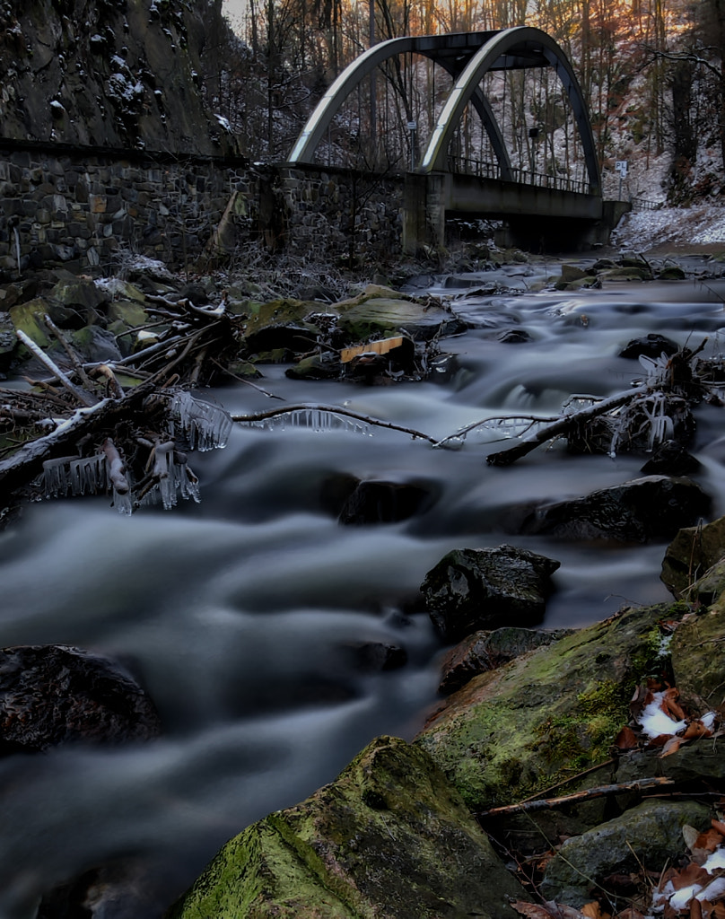 frosty von dirk derbaum auf 500px.com