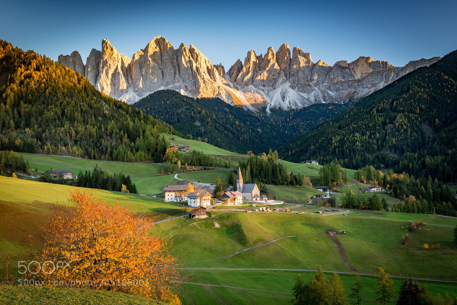 Nikon D610 sample photo. Santa maddalena, val di photography